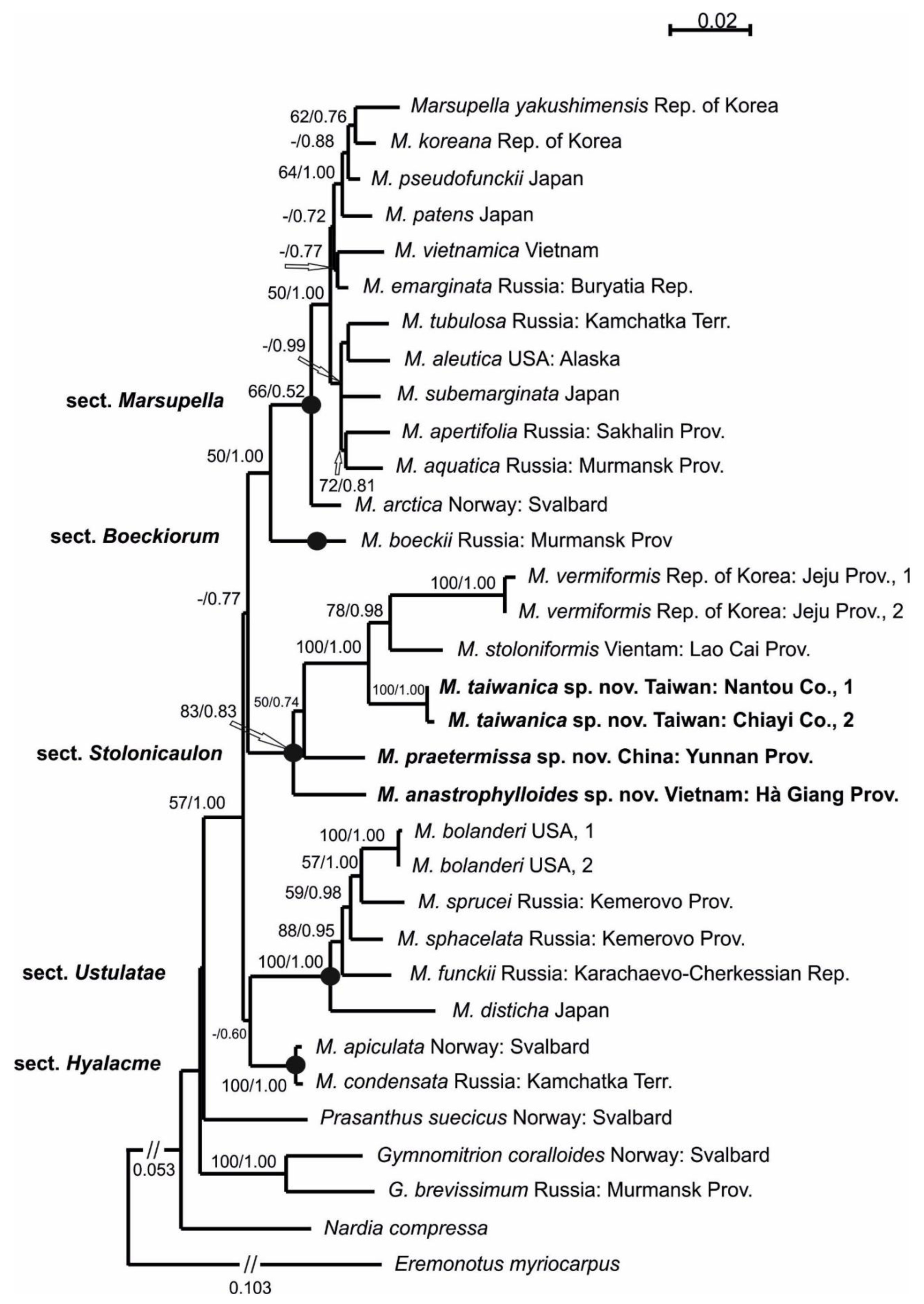 Plants 11 01596 g001
