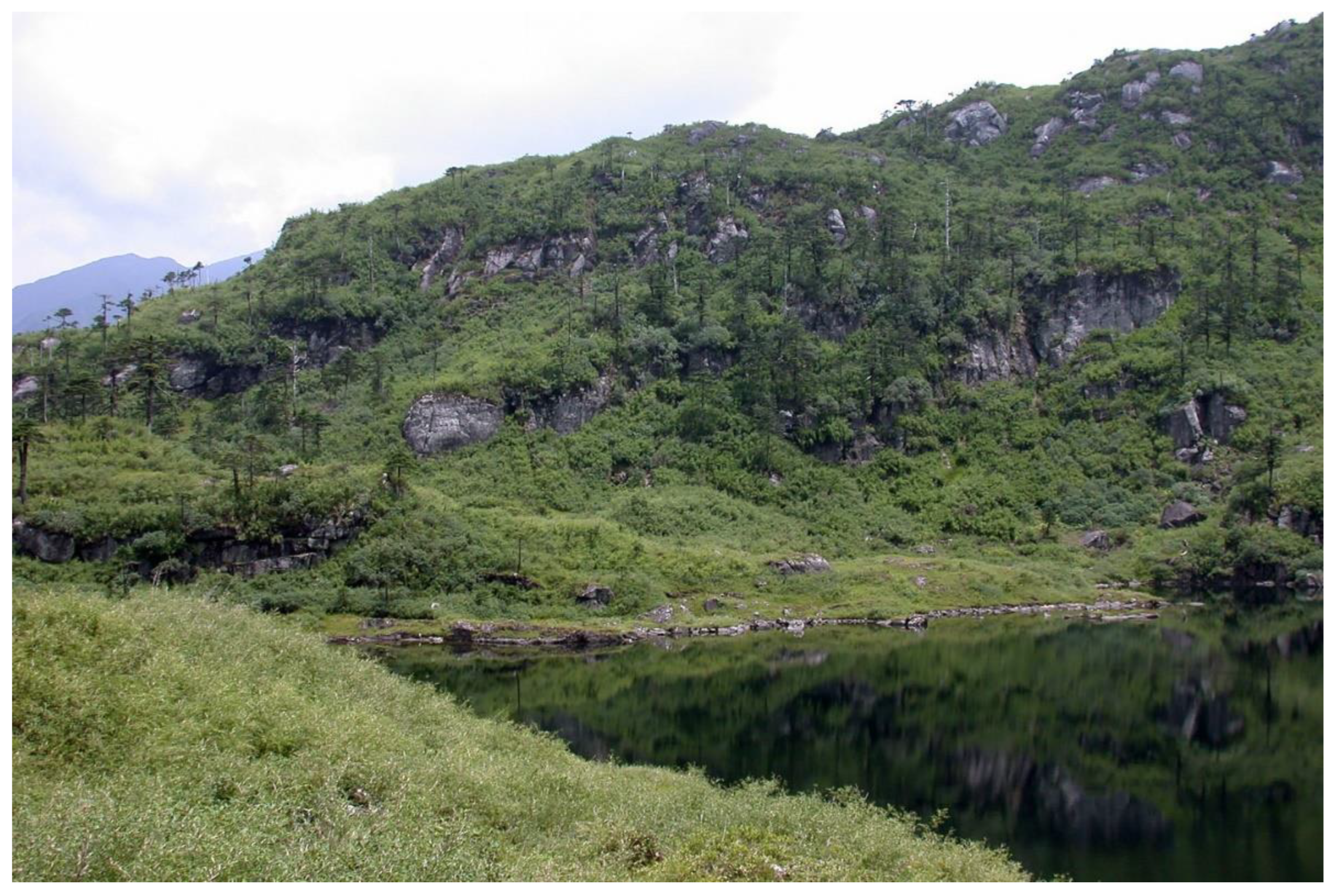 Plants 11 01596 g004