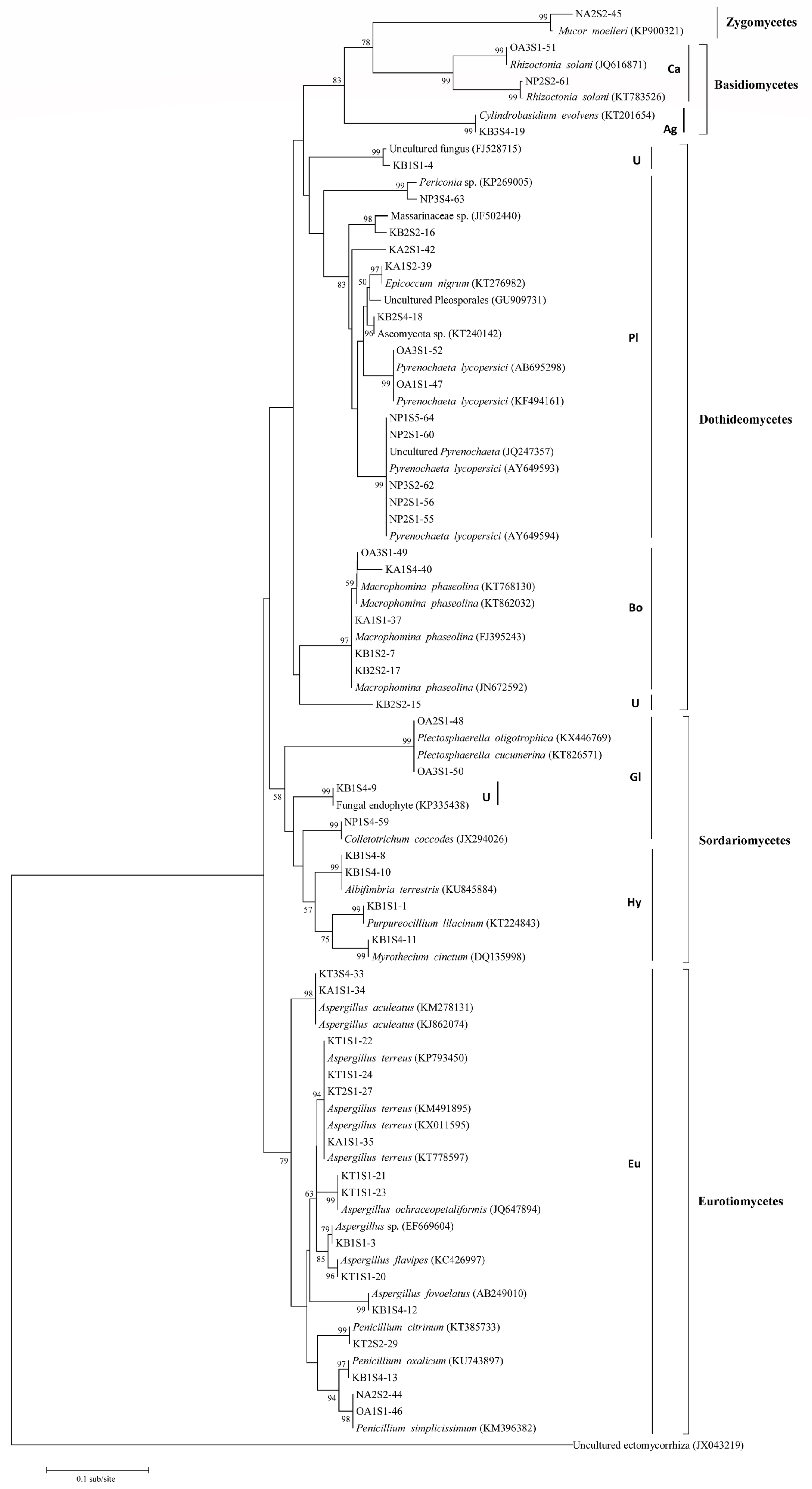 Plants 11 01605 g003 550