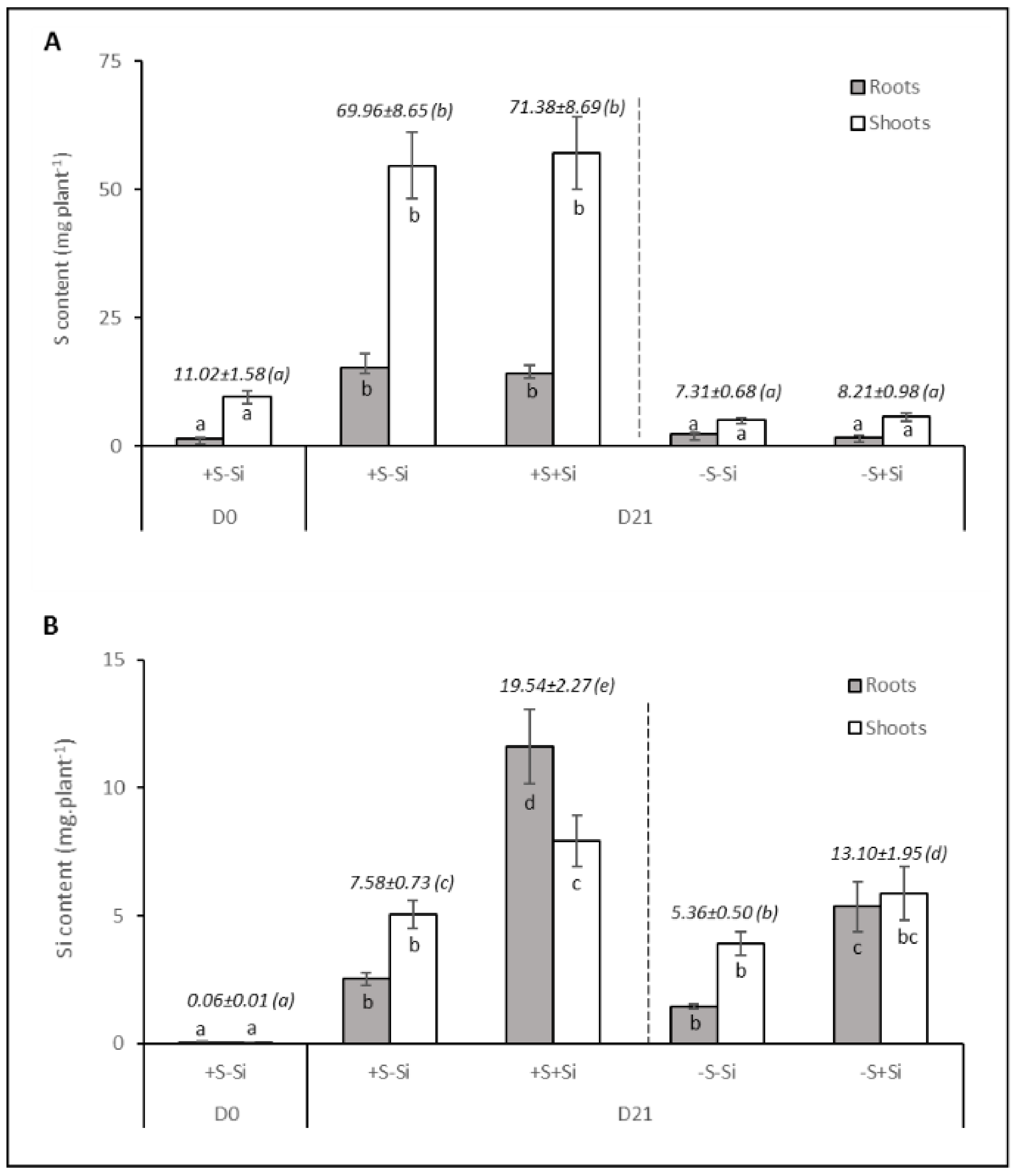 Plants 11 01606 g003