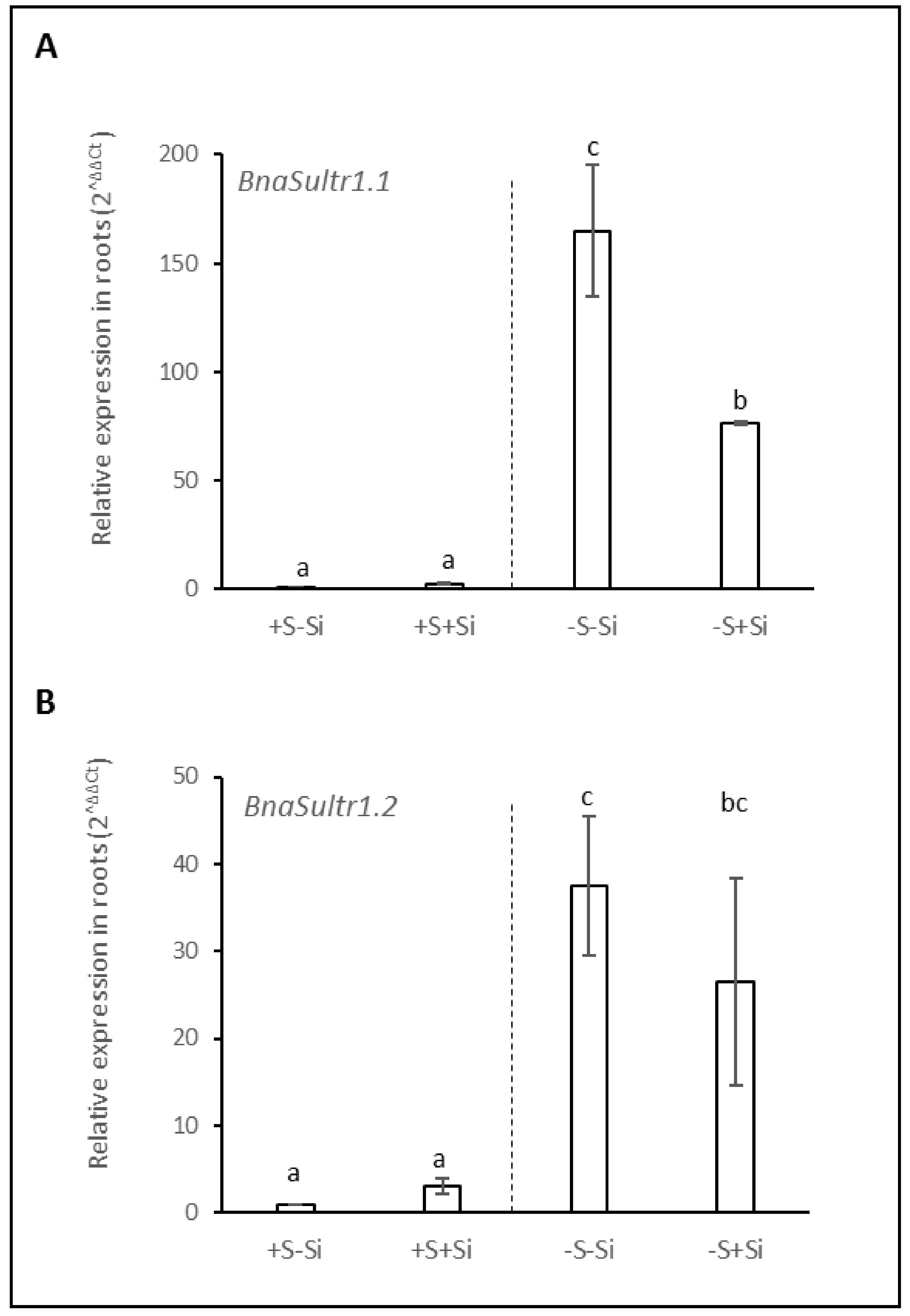 Plants 11 01606 g004
