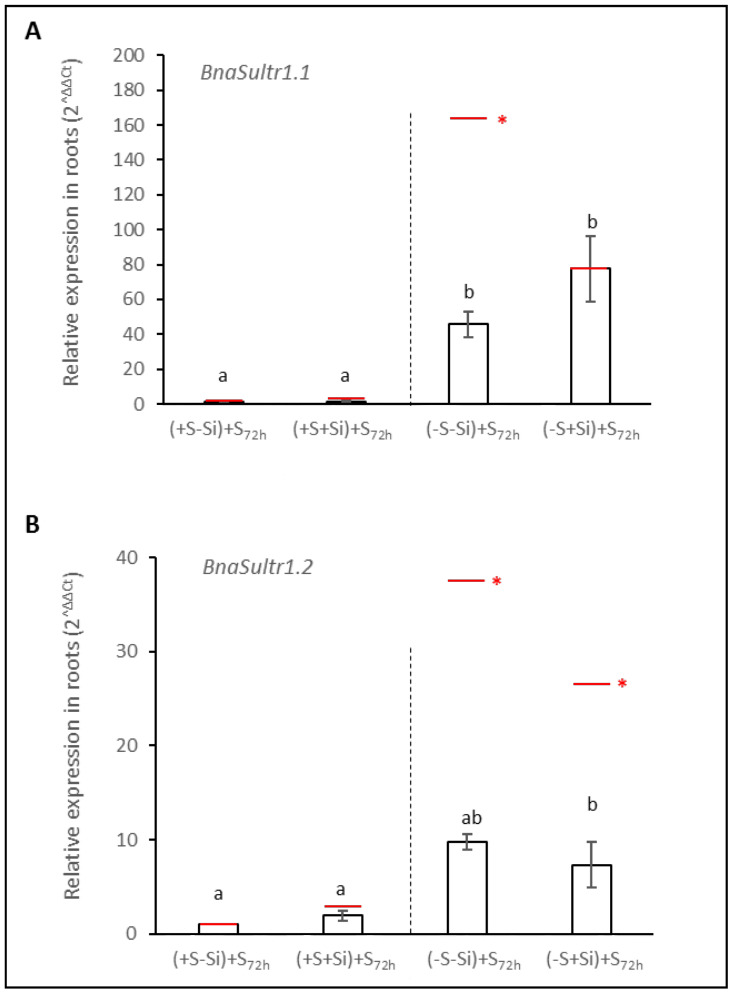 Plants 11 01606 g006