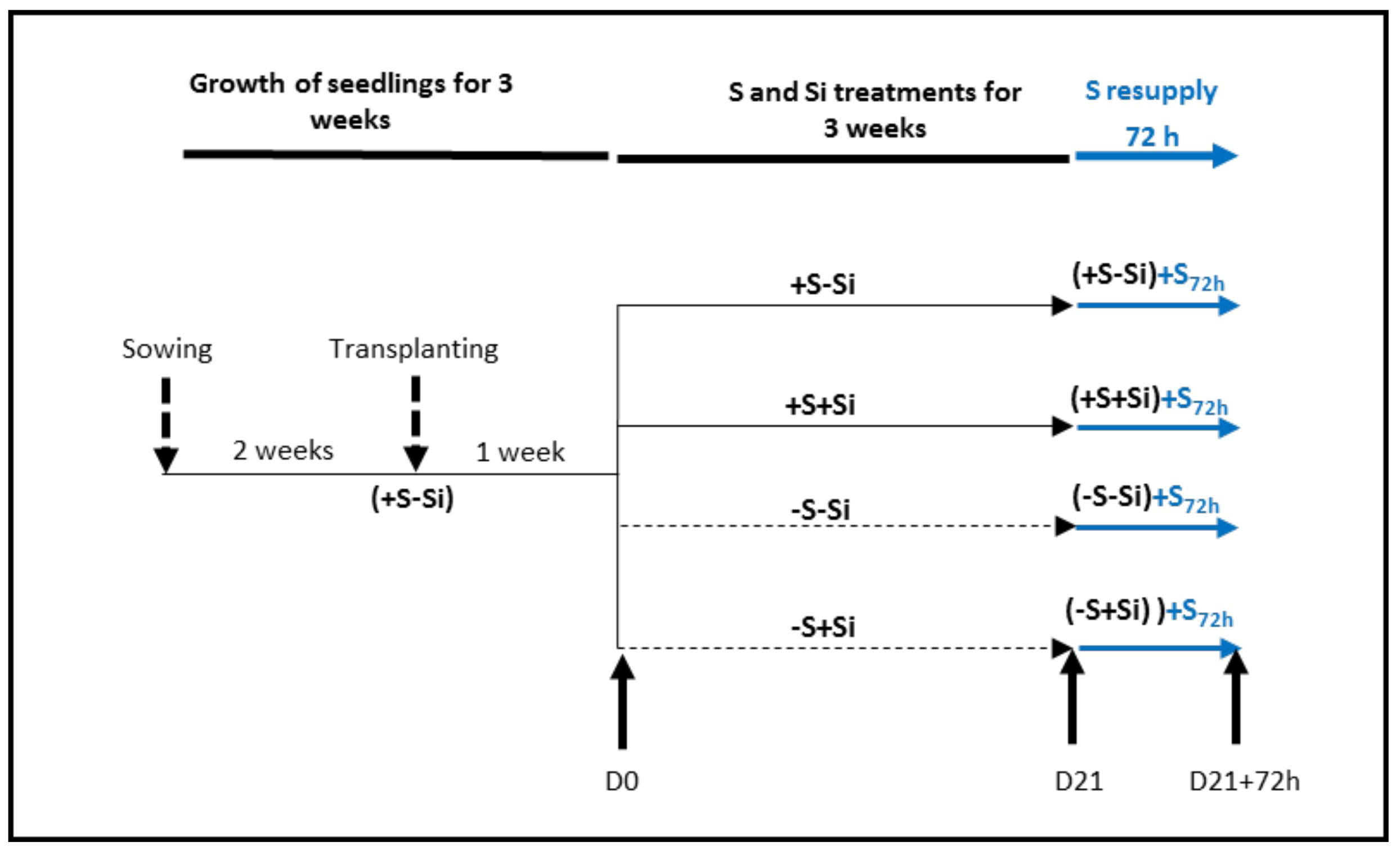Plants 11 01606 g007