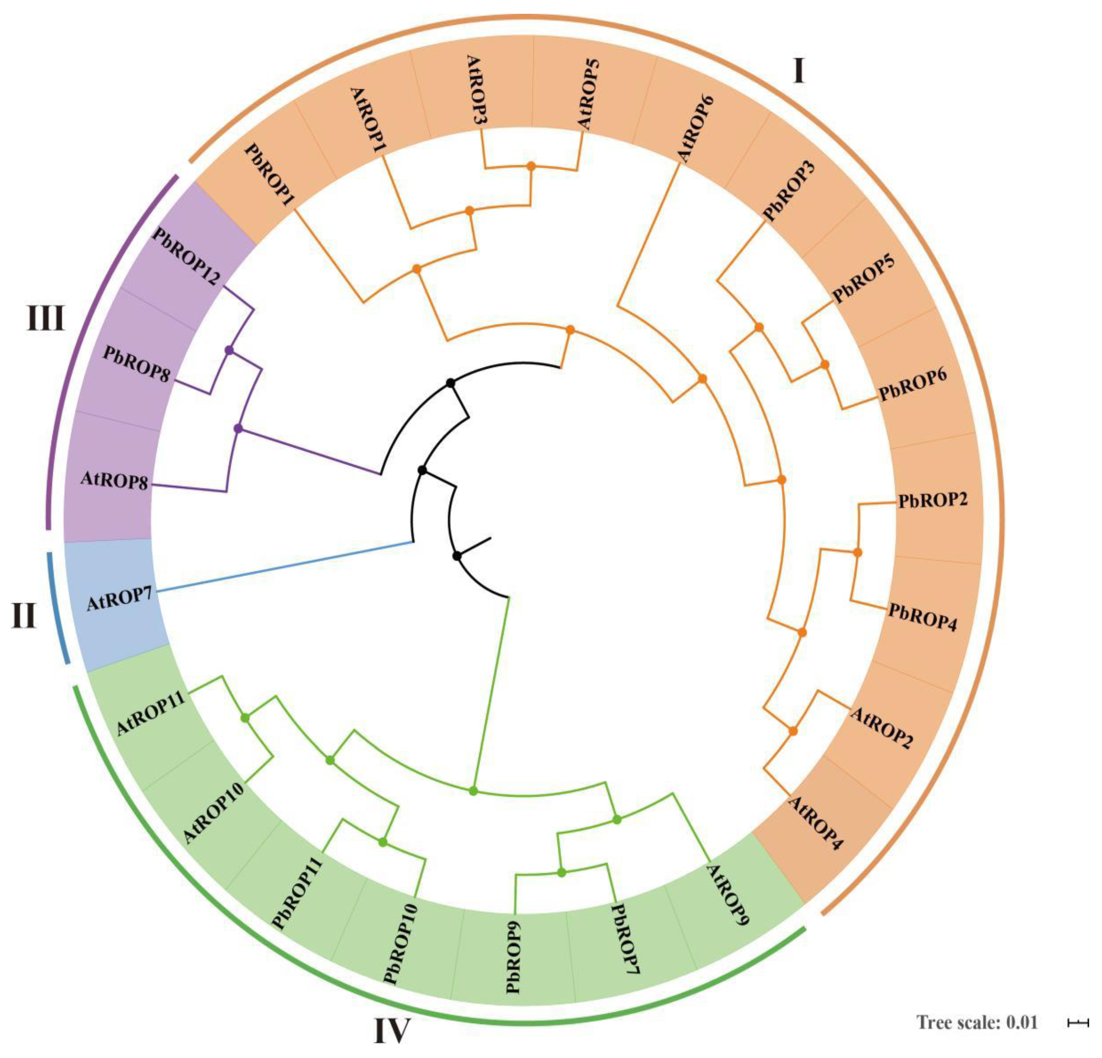 Plants 11 01608 g001 Plants 11 01608 g001