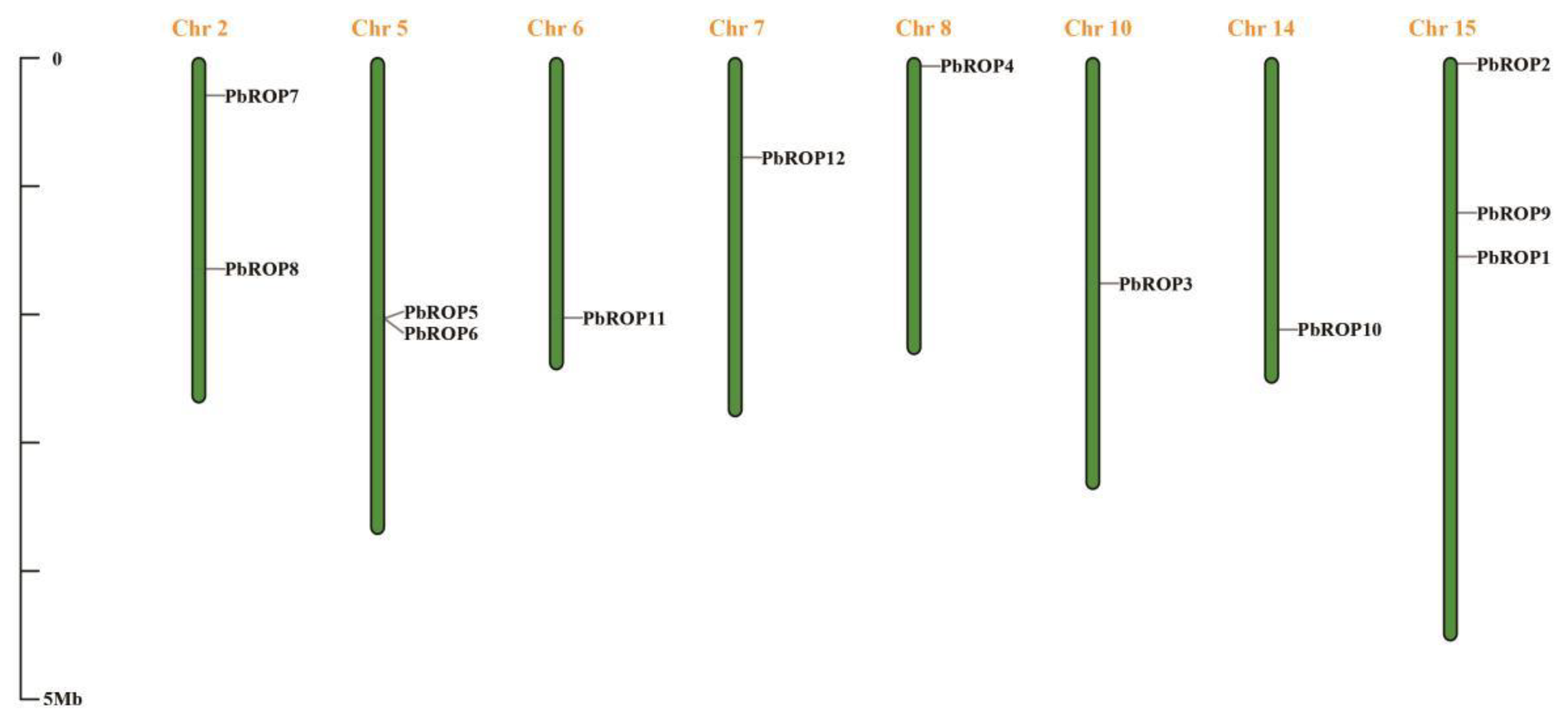 Plants 11 01608 g002 Plants 11 01608 g002