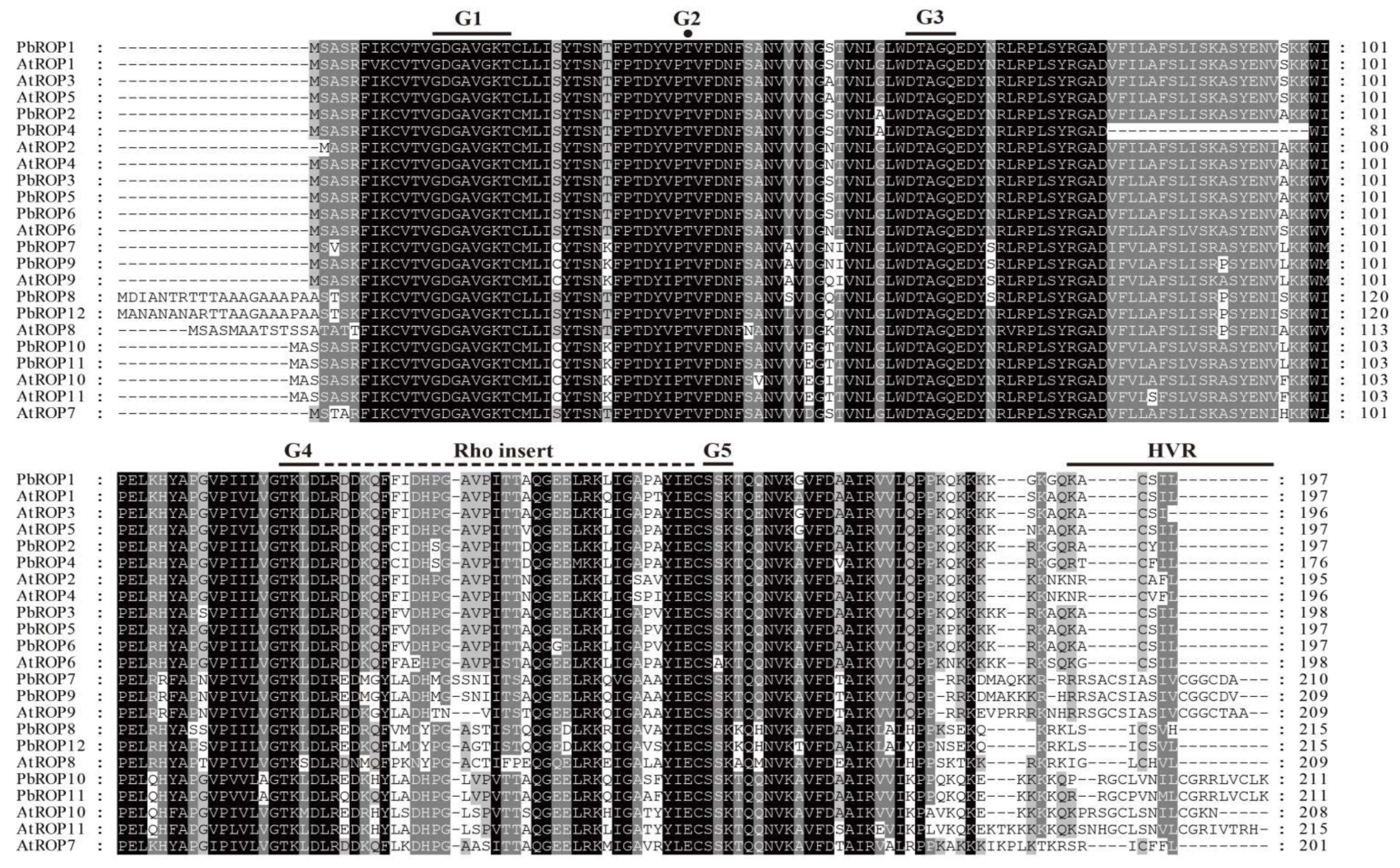Plants 11 01608 g003 Plants 11 01608 g003