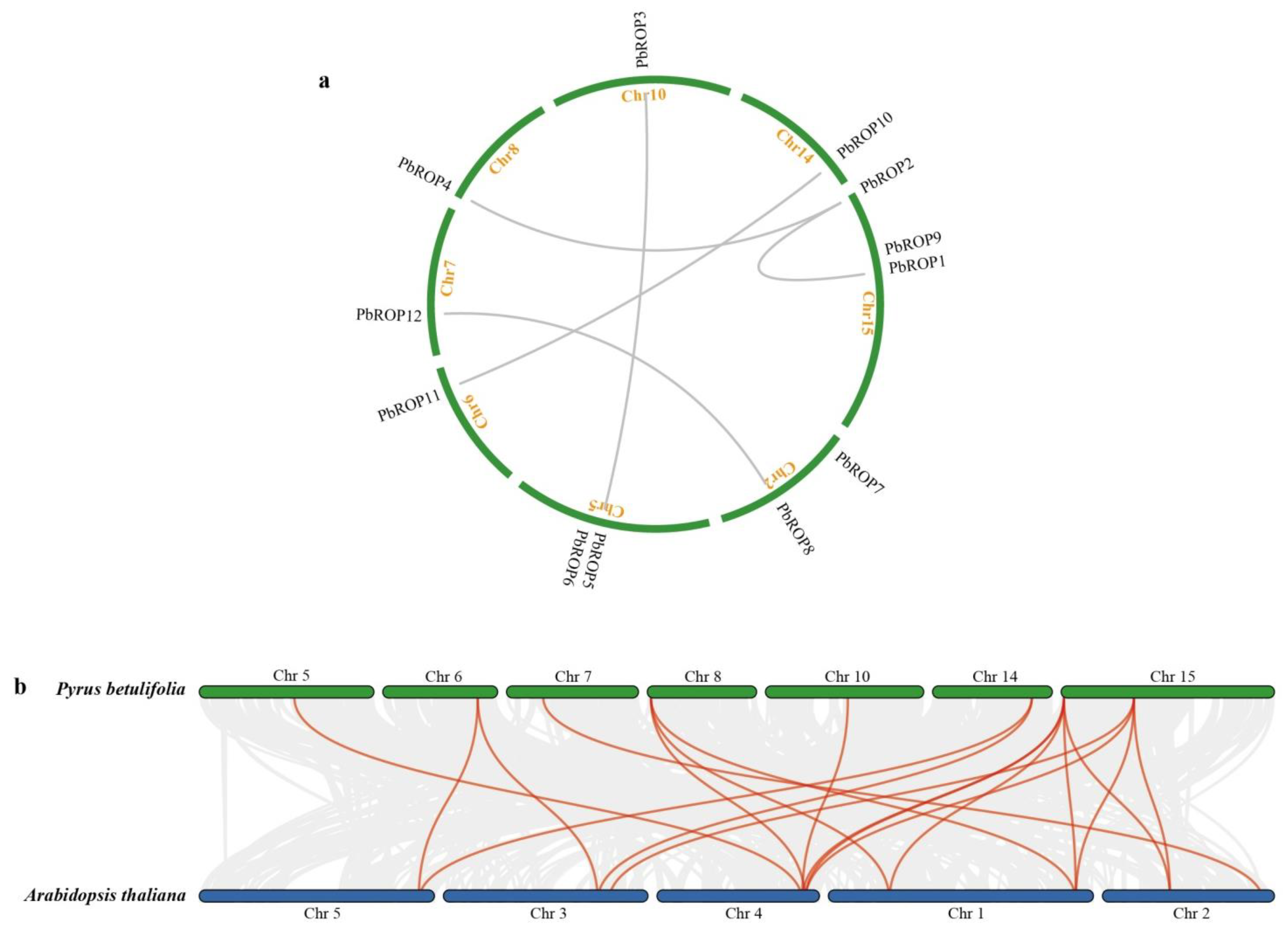 Plants 11 01608 g005 Plants 11 01608 g005