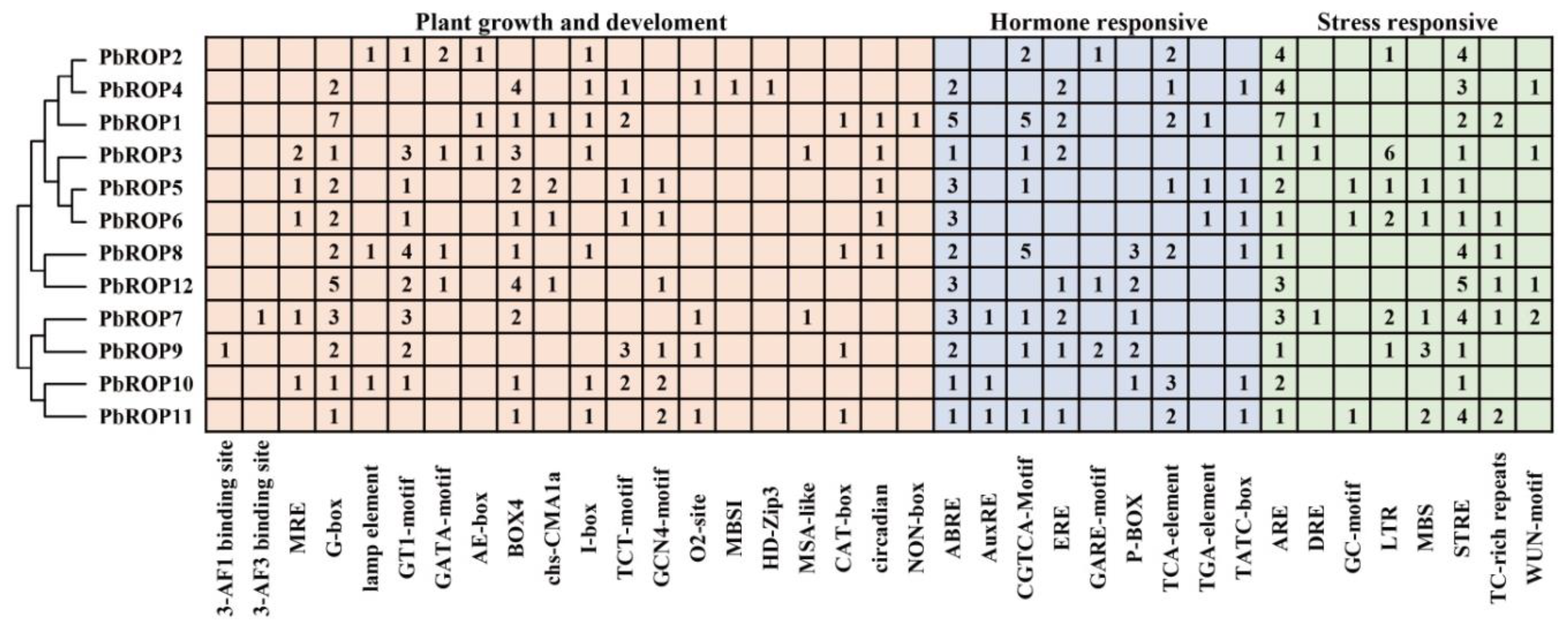 Plants 11 01608 g006 Plants 11 01608 g006