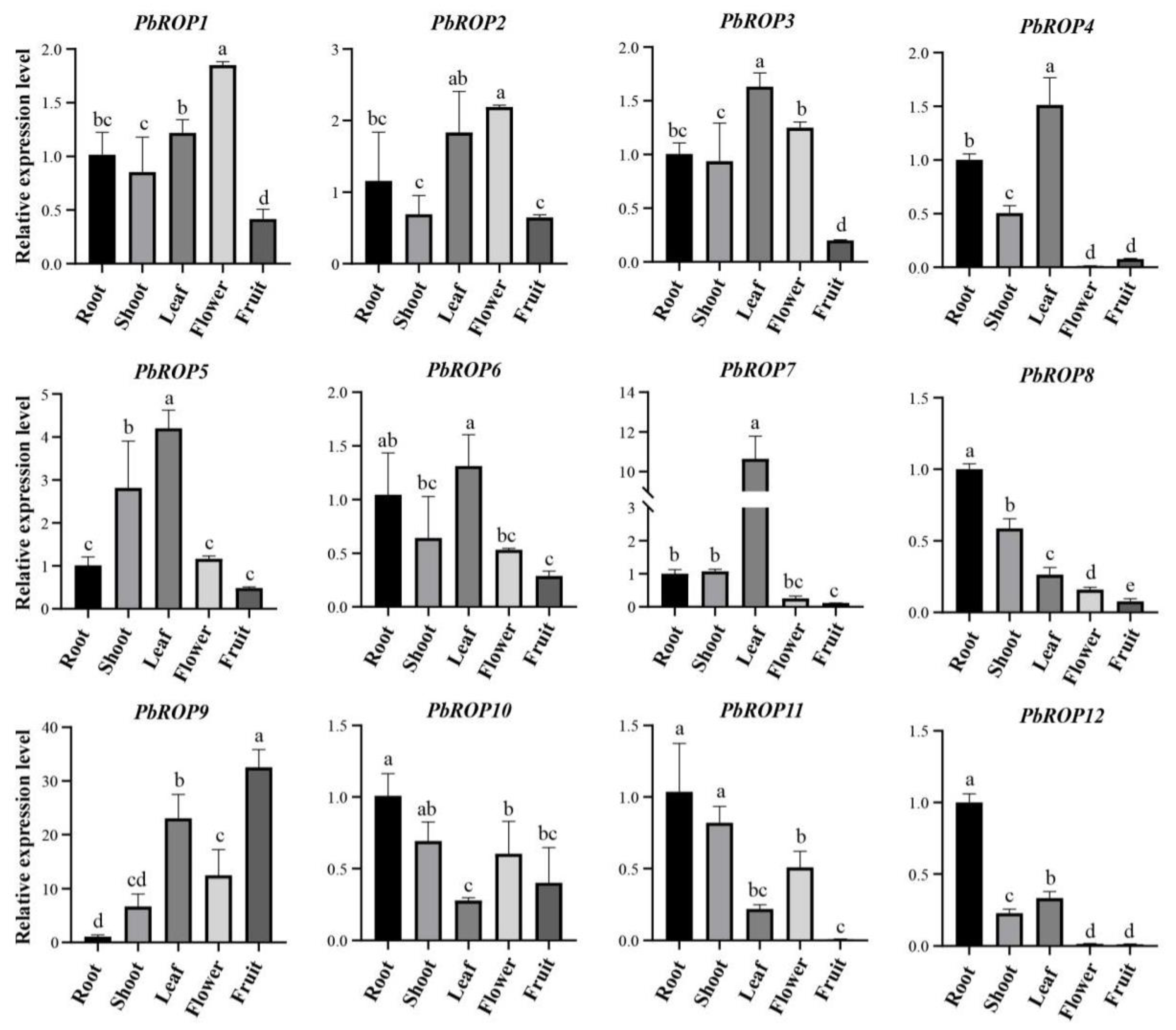 Plants 11 01608 g007 Plants 11 01608 g007