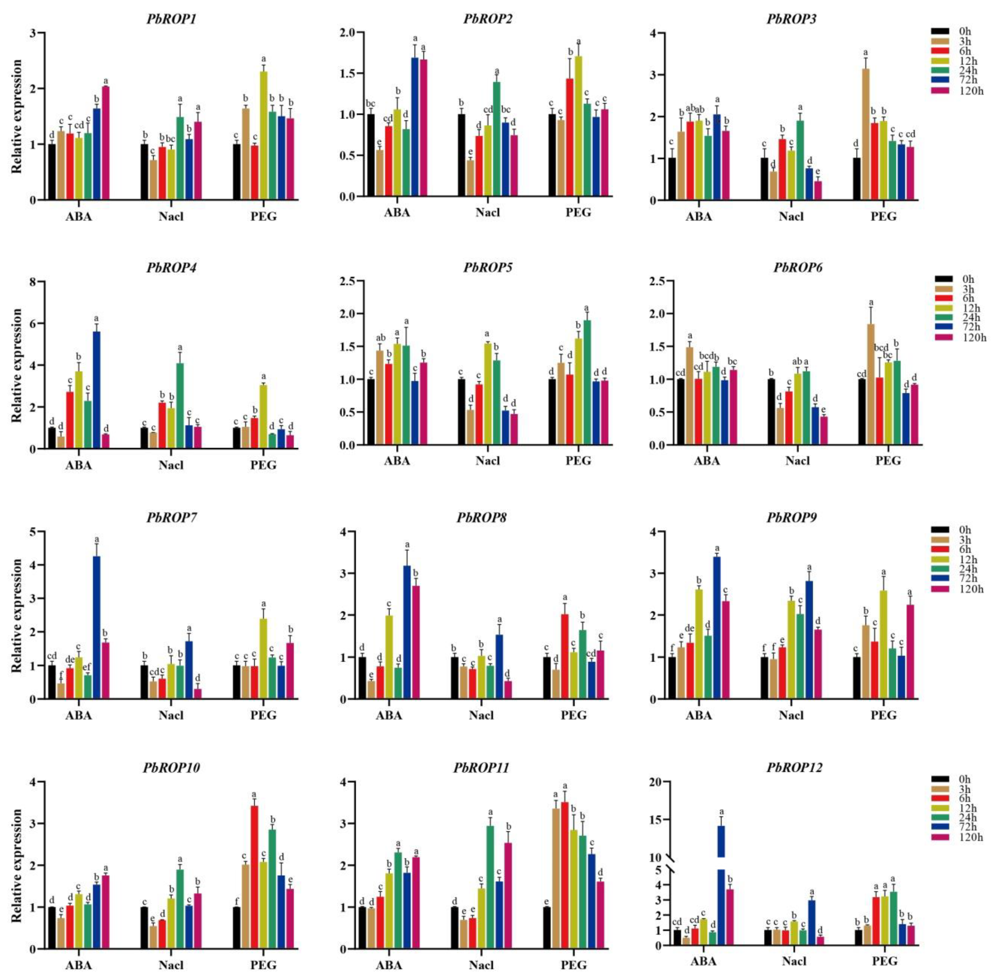 Plants 11 01608 g008 Plants 11 01608 g008