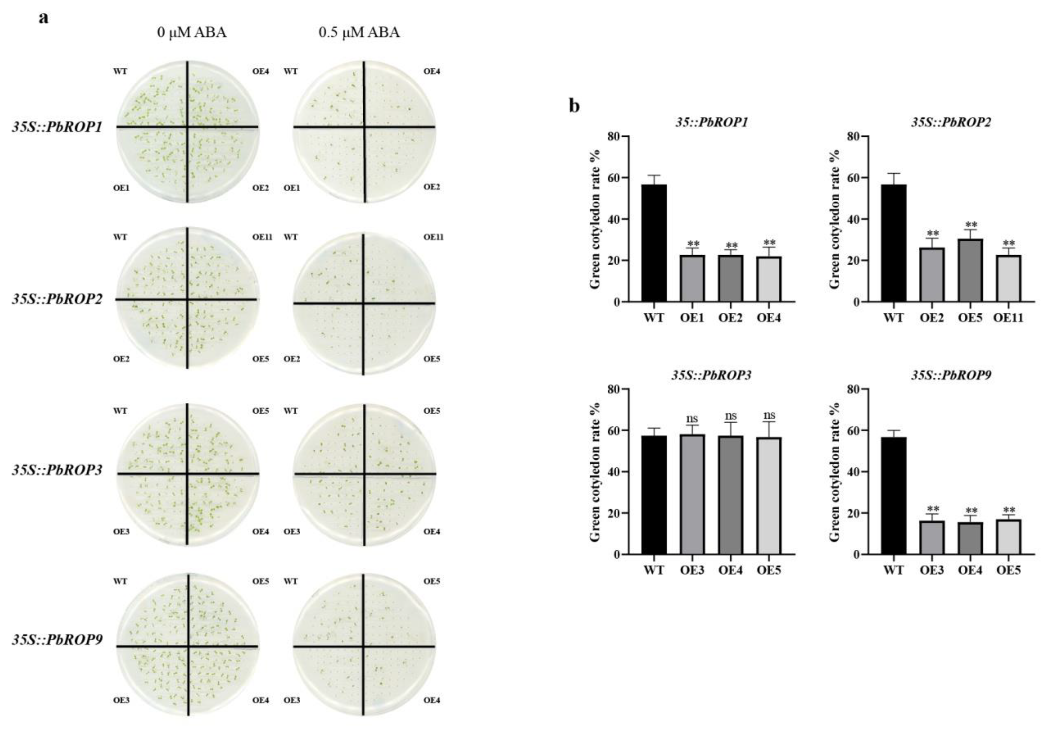 Plants 11 01608 g009 Plants 11 01608 g009