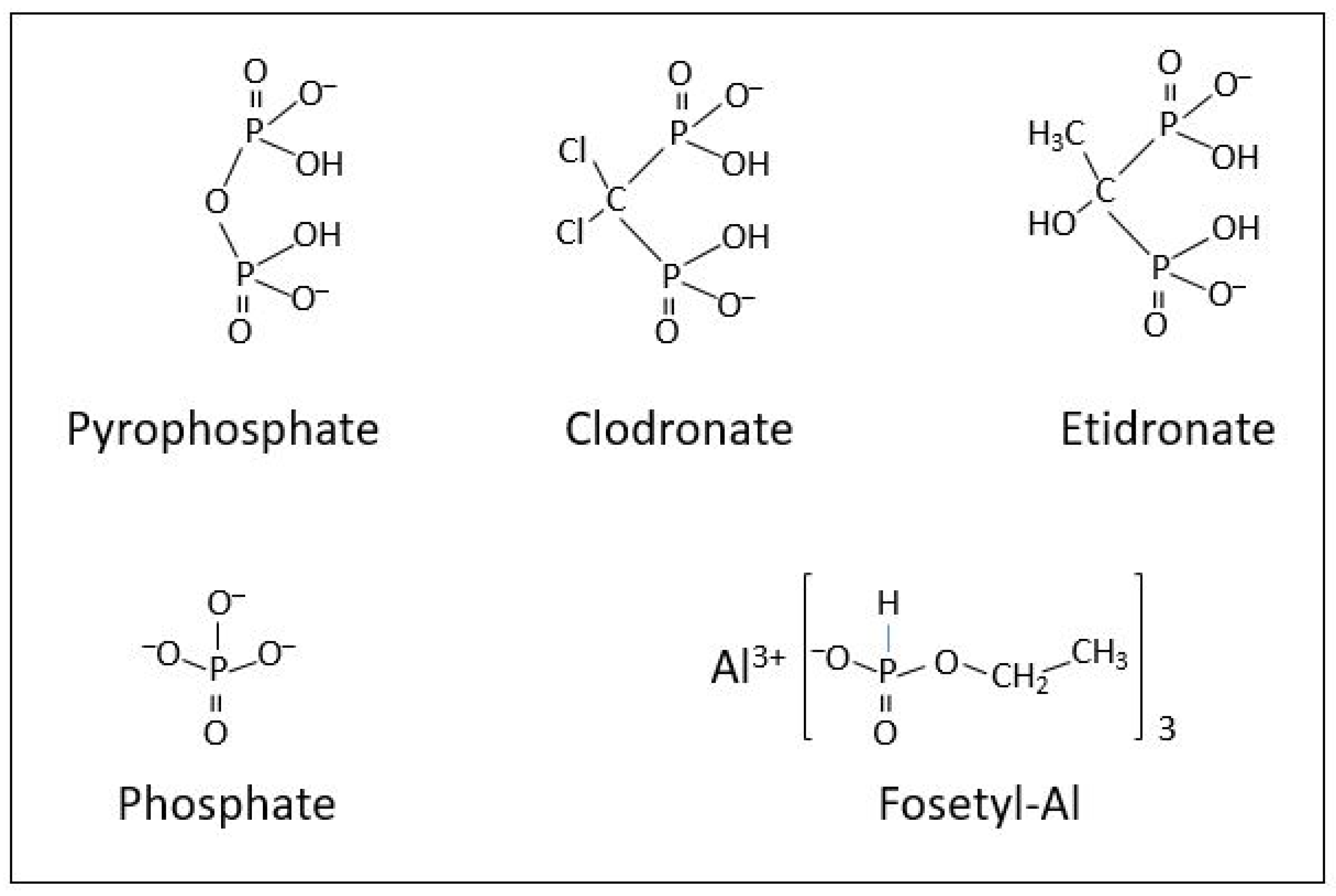 Plants 11 01611 g003 550