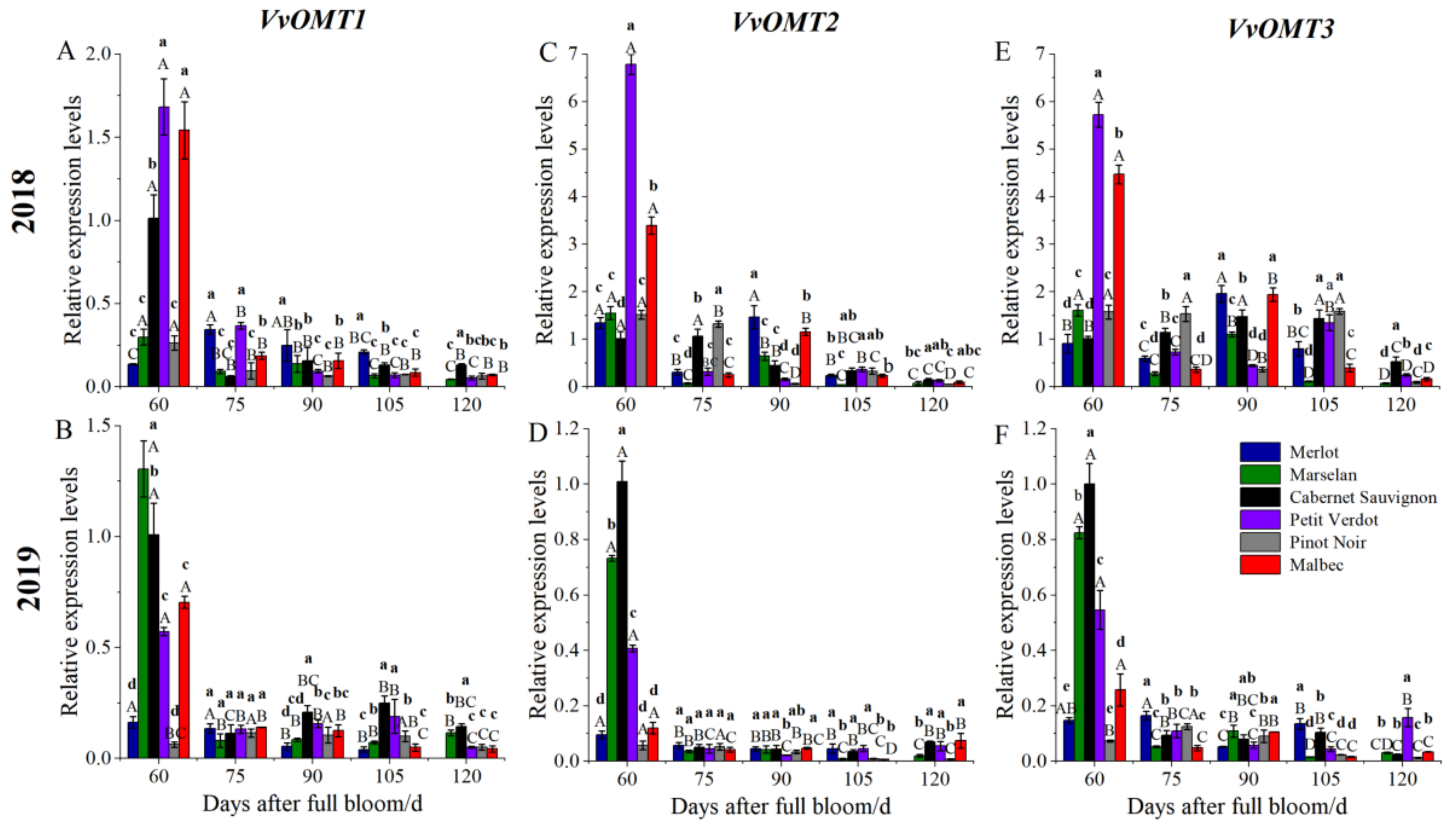 Plants 11 01613 g007