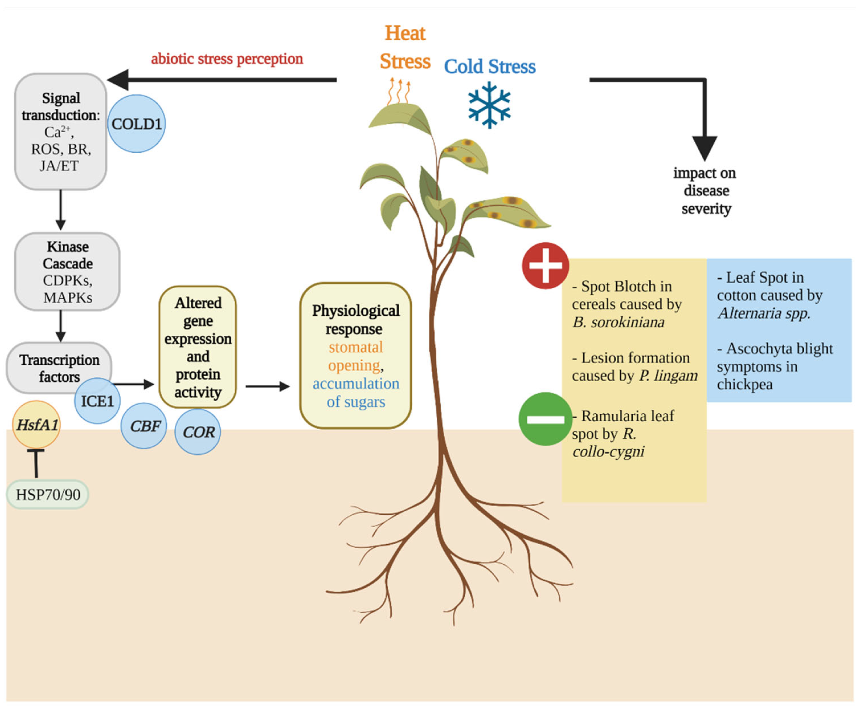 Plants 11 01615 g001