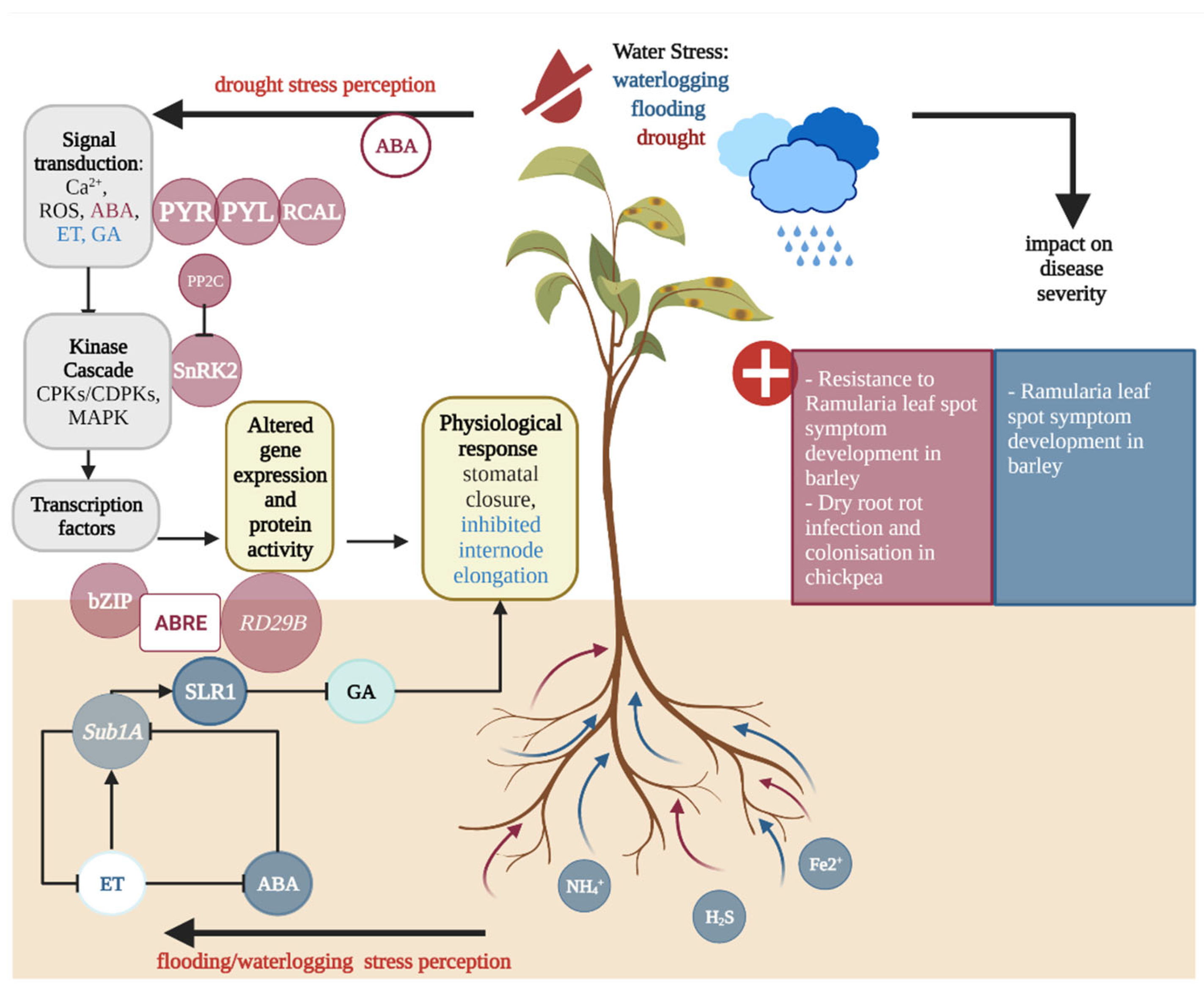 Plants 11 01615 g002