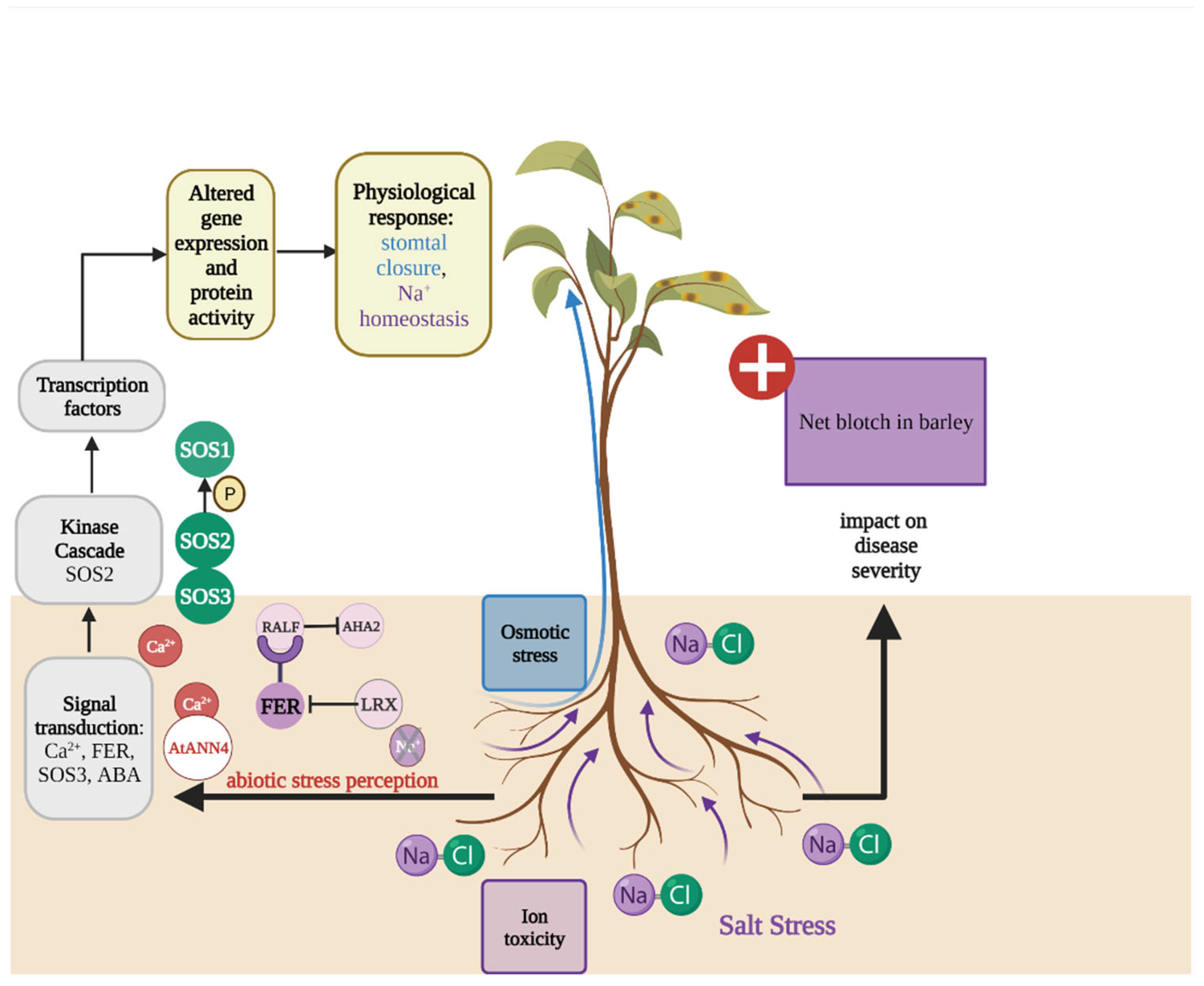 Plants 11 01615 g003