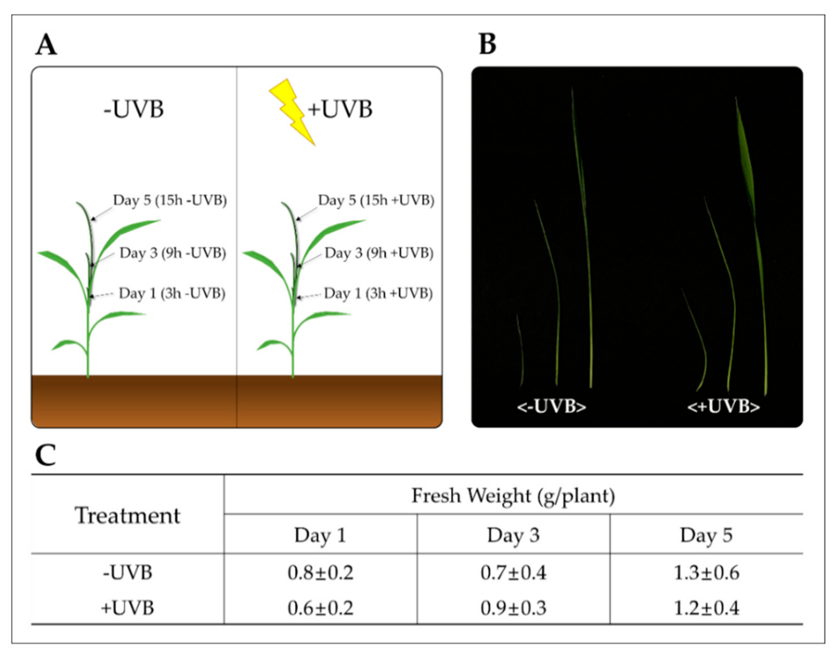 Plants 11 01618 g001 550