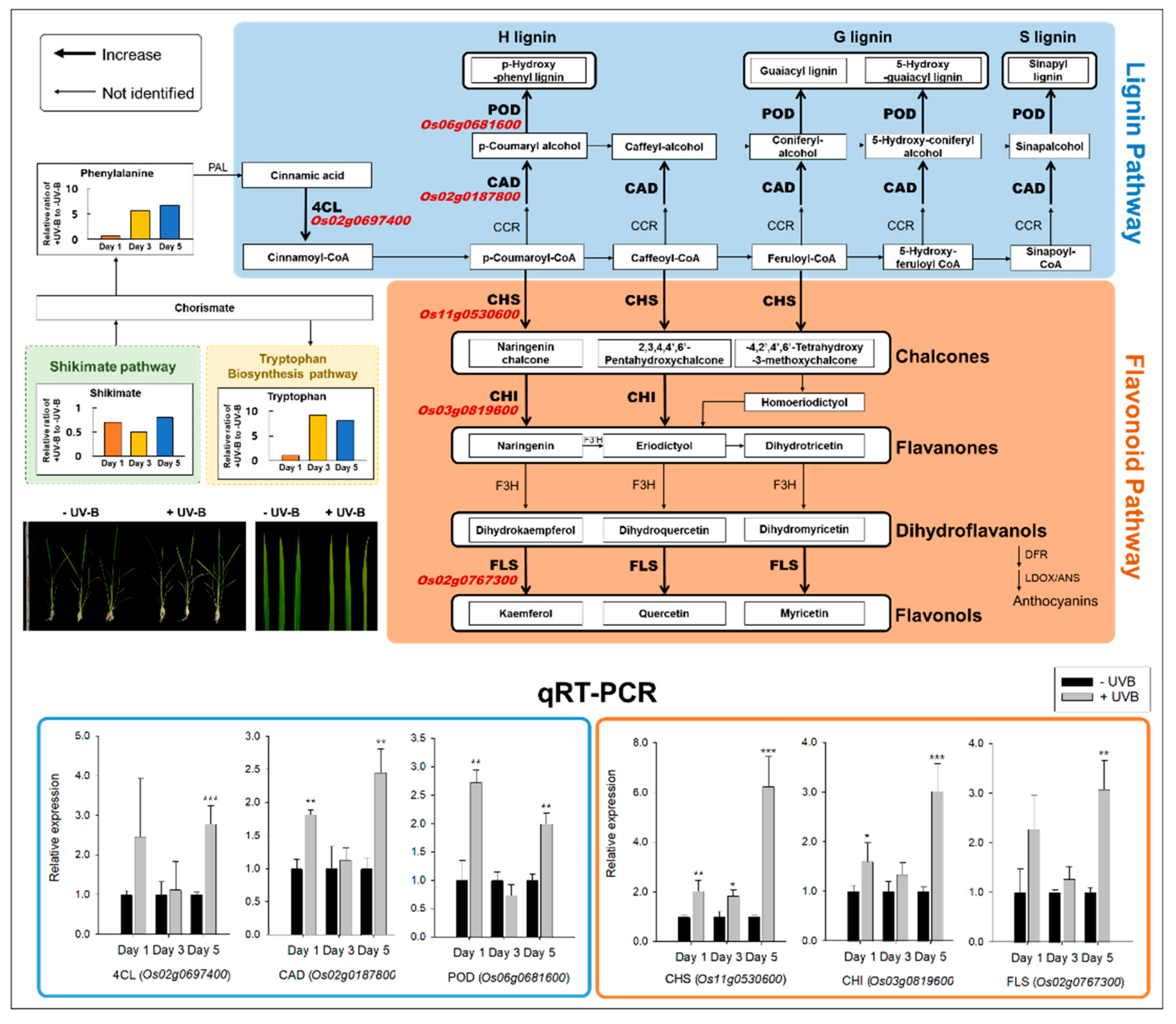 Plants 11 01618 g004 550
