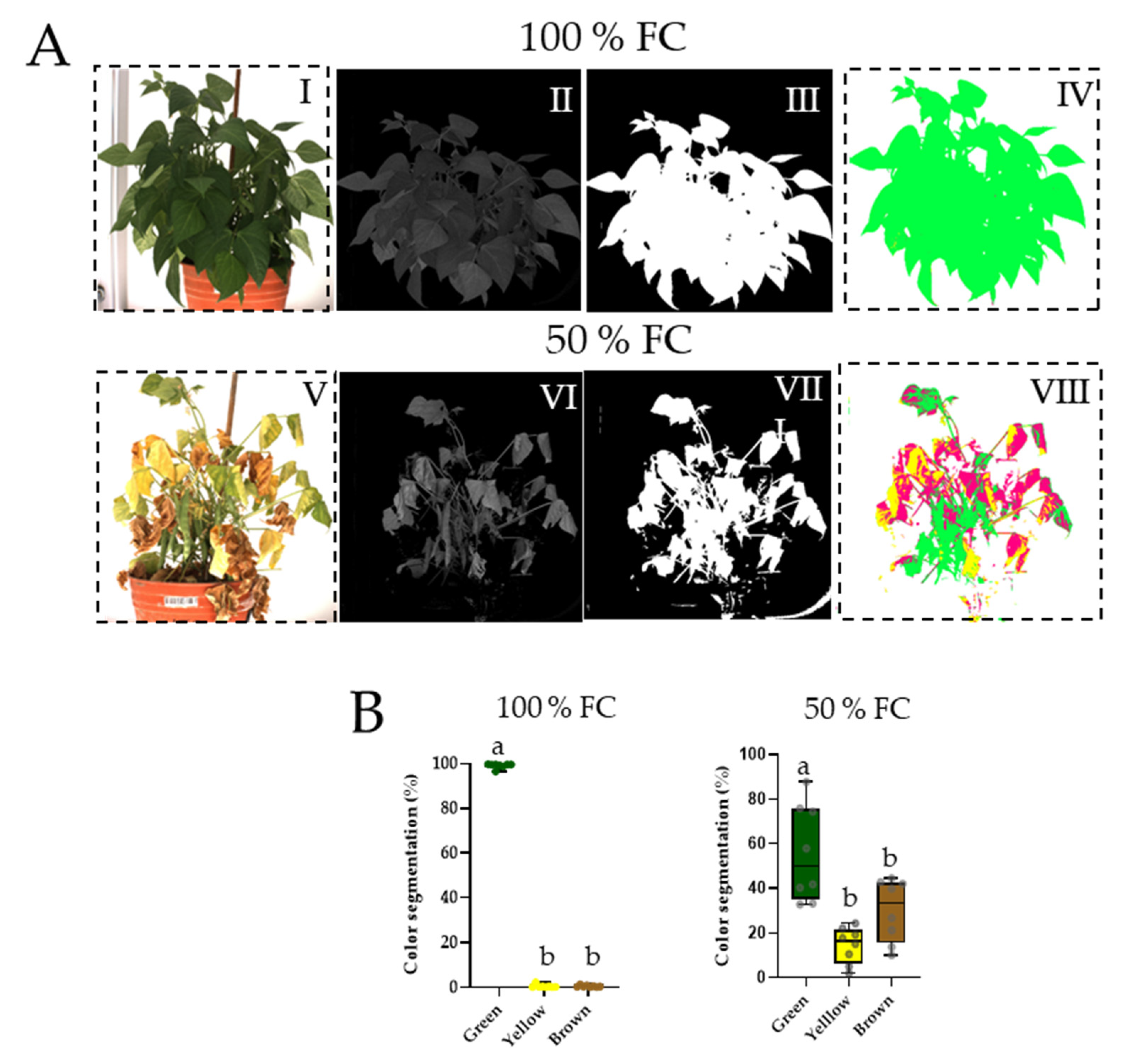 Plants 11 01622 g001