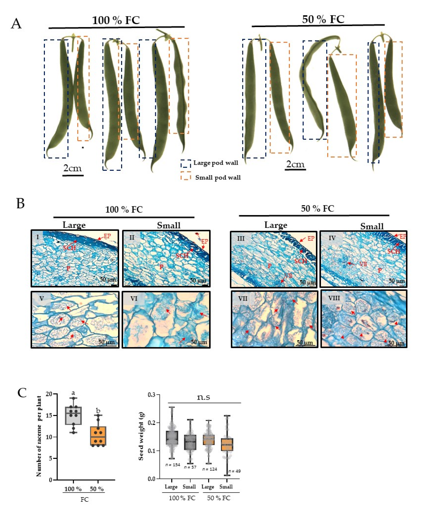 Plants 11 01622 g002