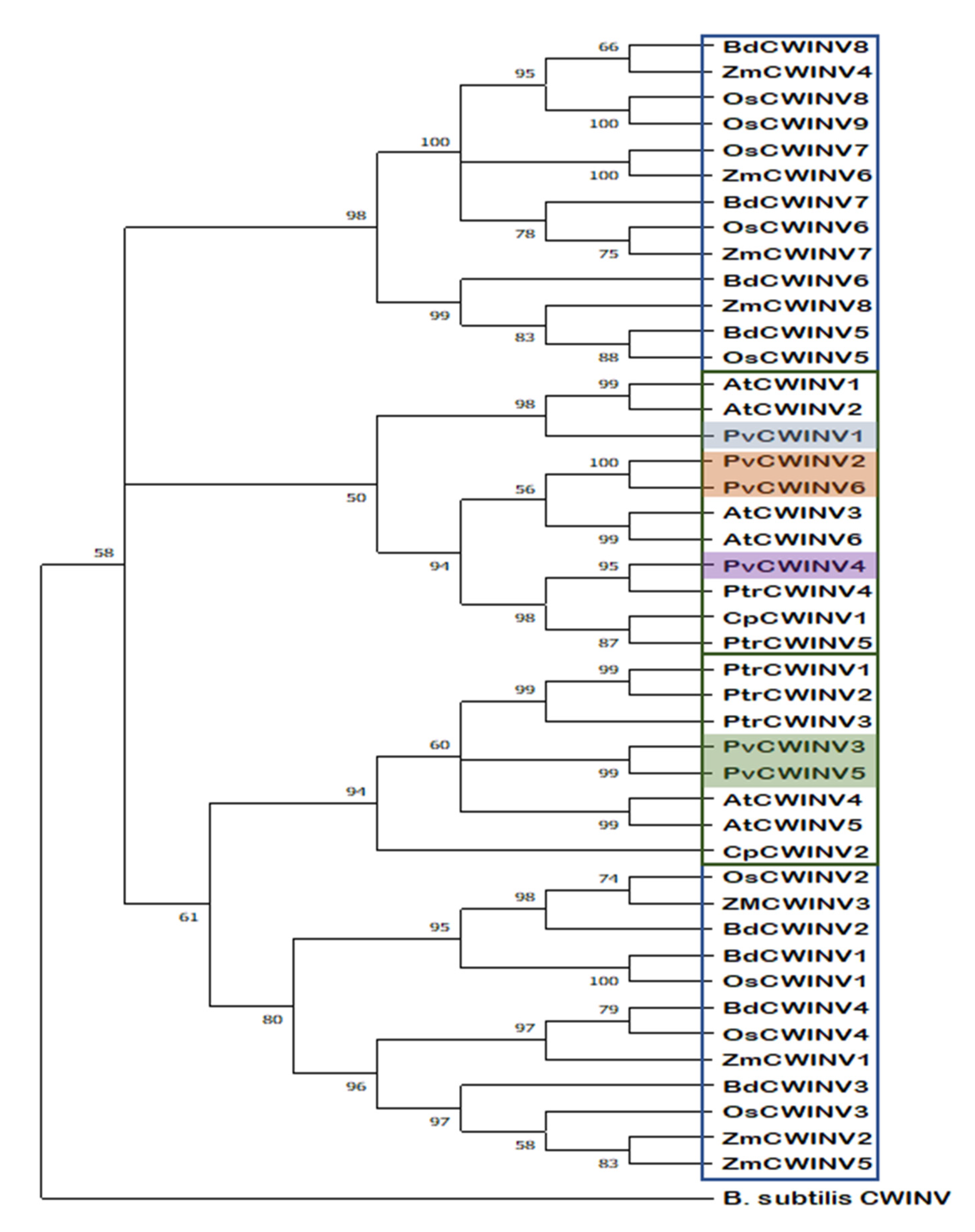 Plants 11 01622 g006