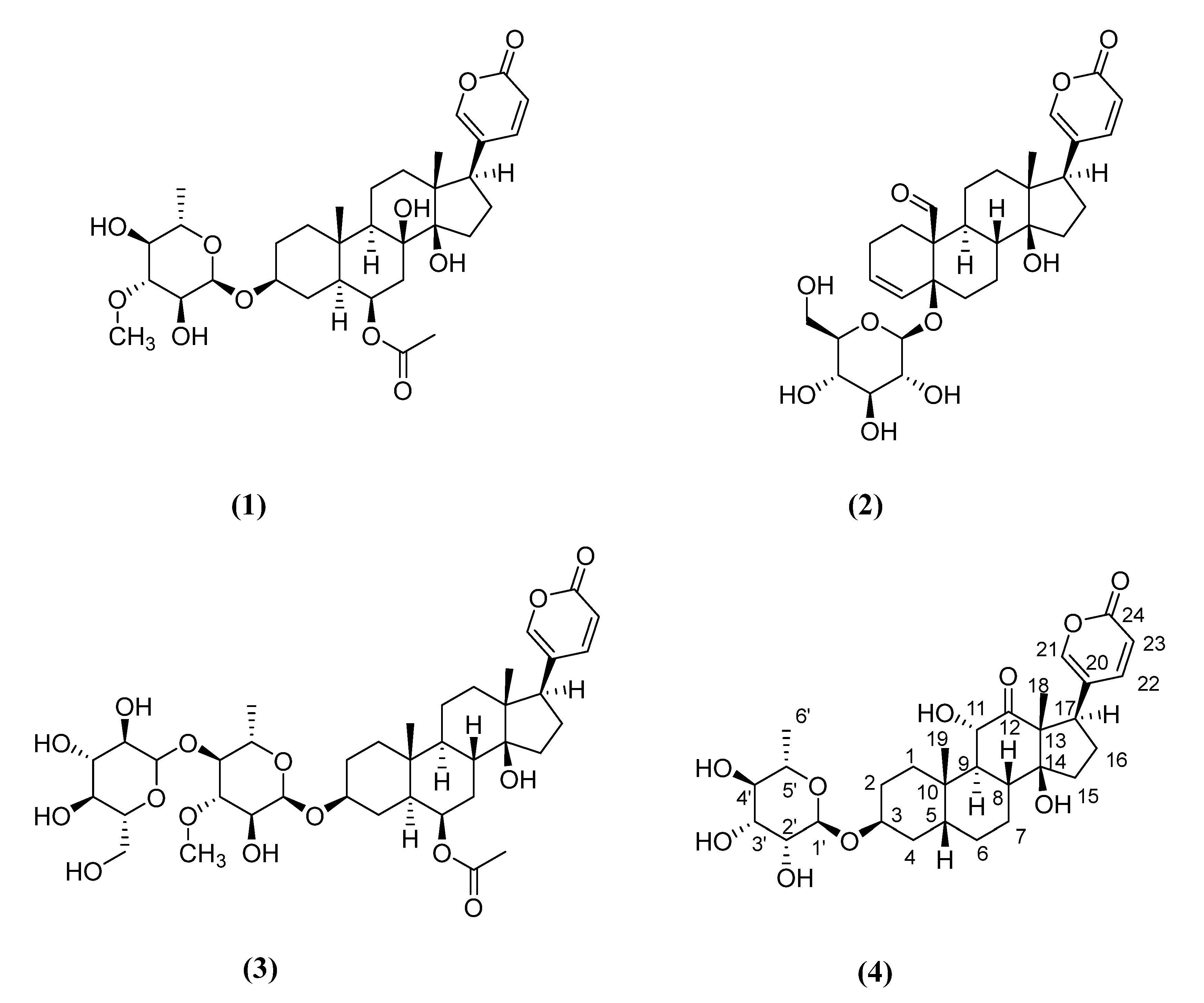 Plants 11 01629 g001 550