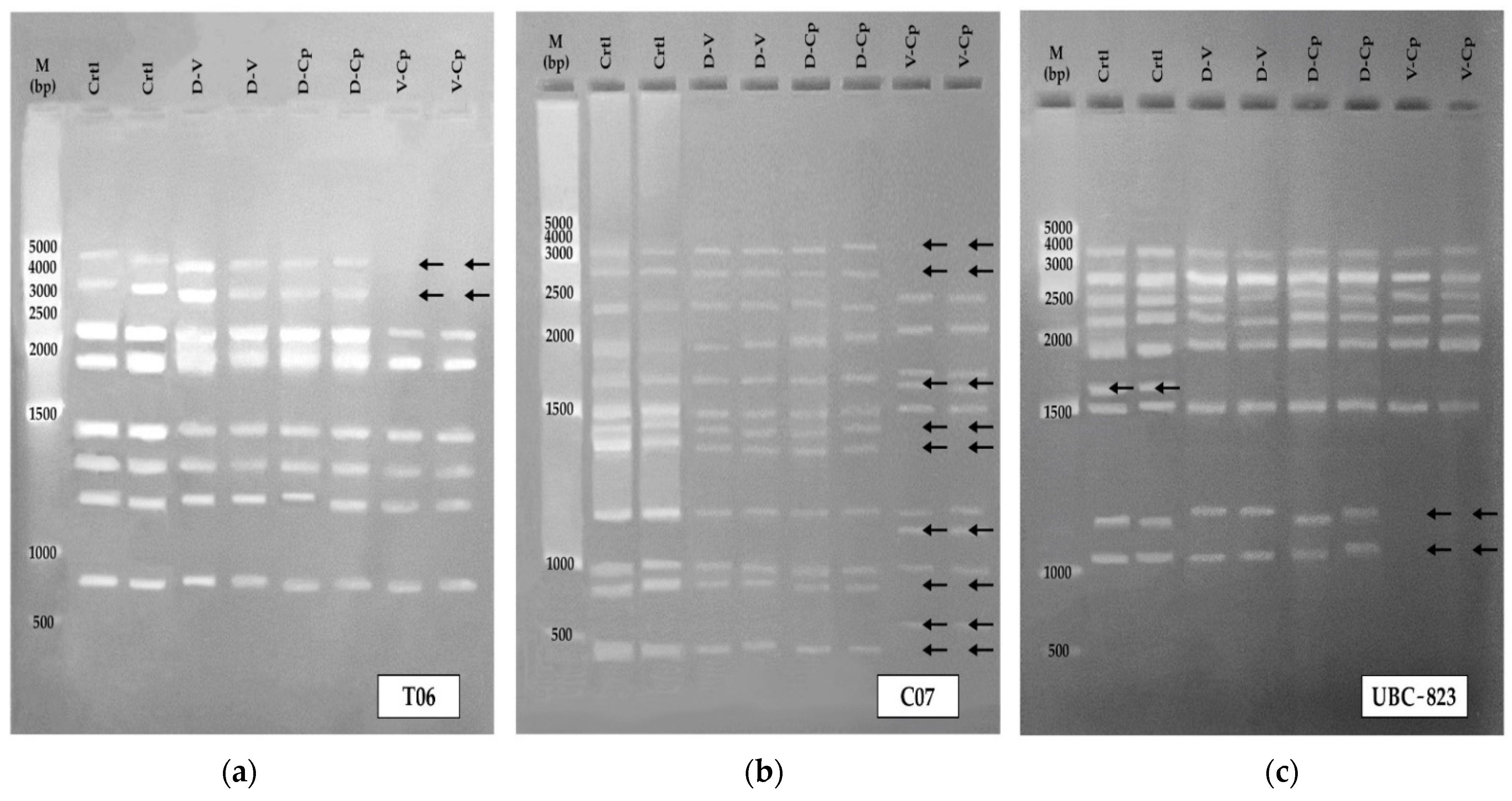 Plants 11 01630 g002 Plants 11 01630 g002