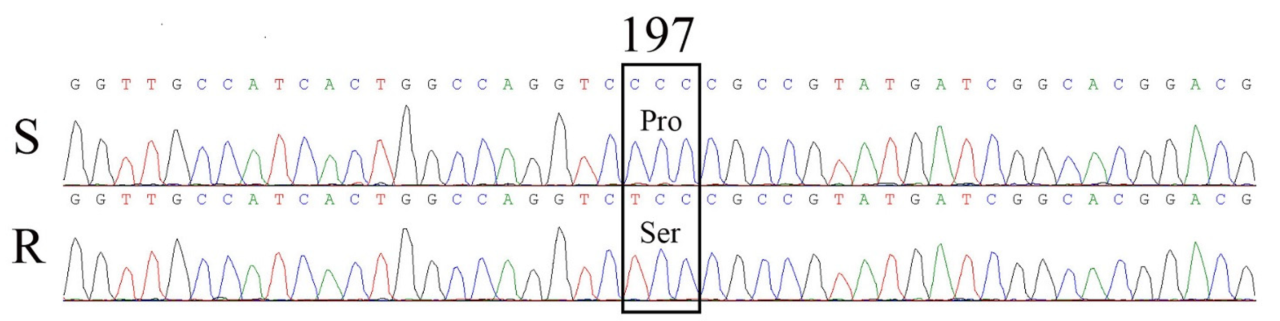 Plants 11 01641 g004 550