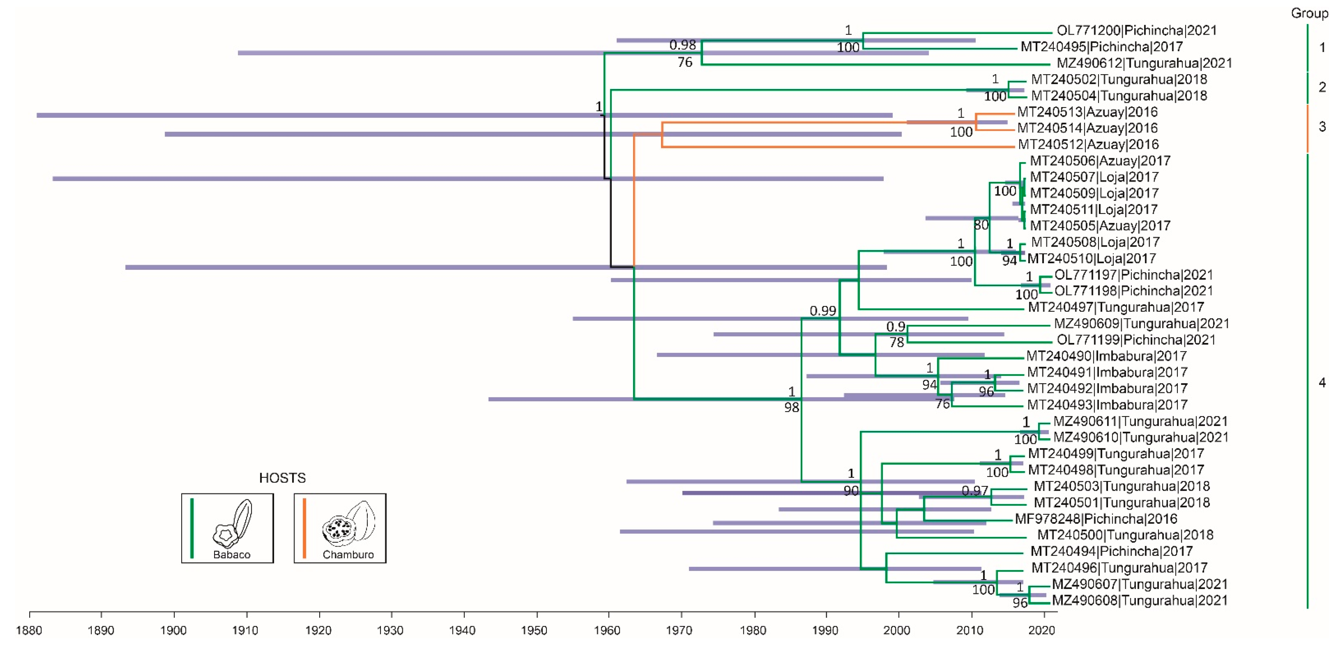 Plants 11 01646 g001