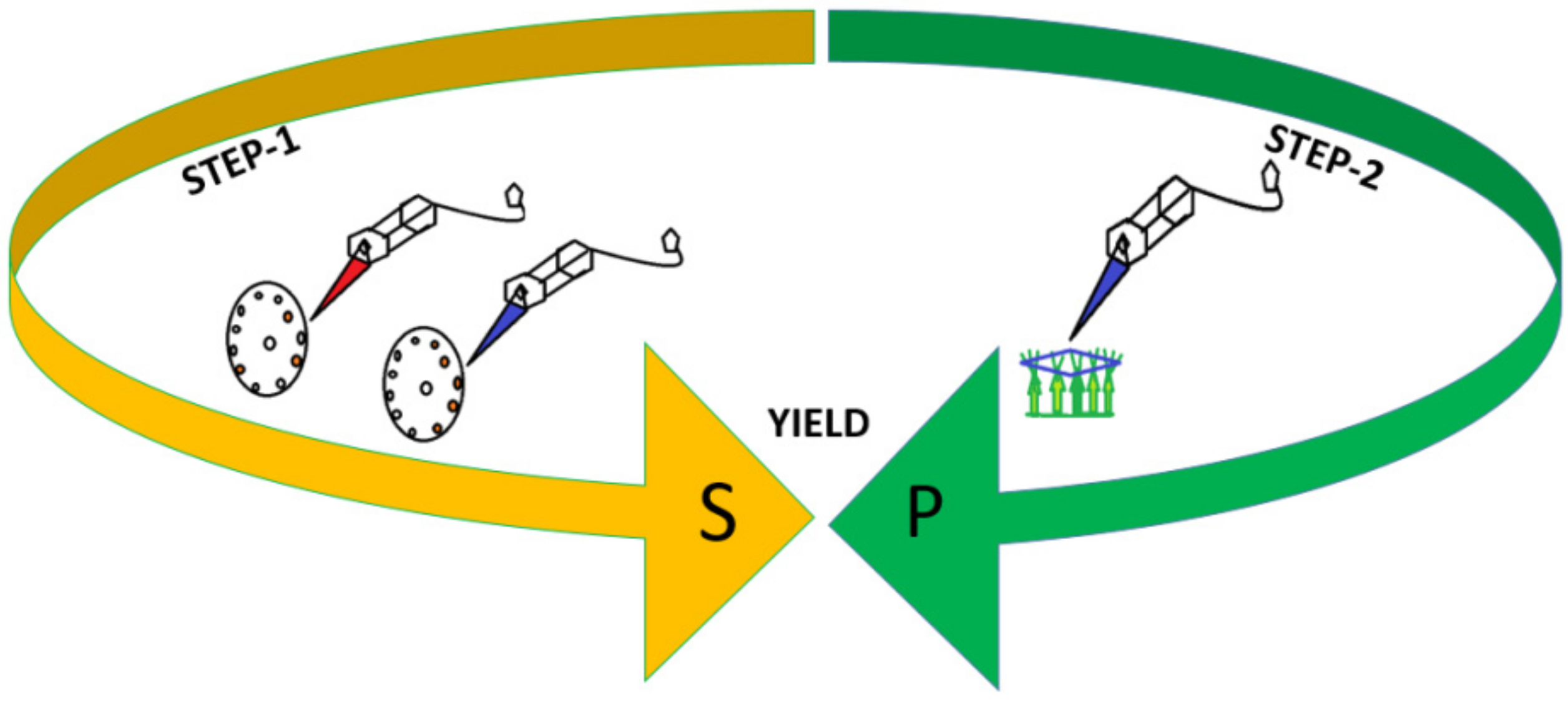 Plants 11 01649 g001 550