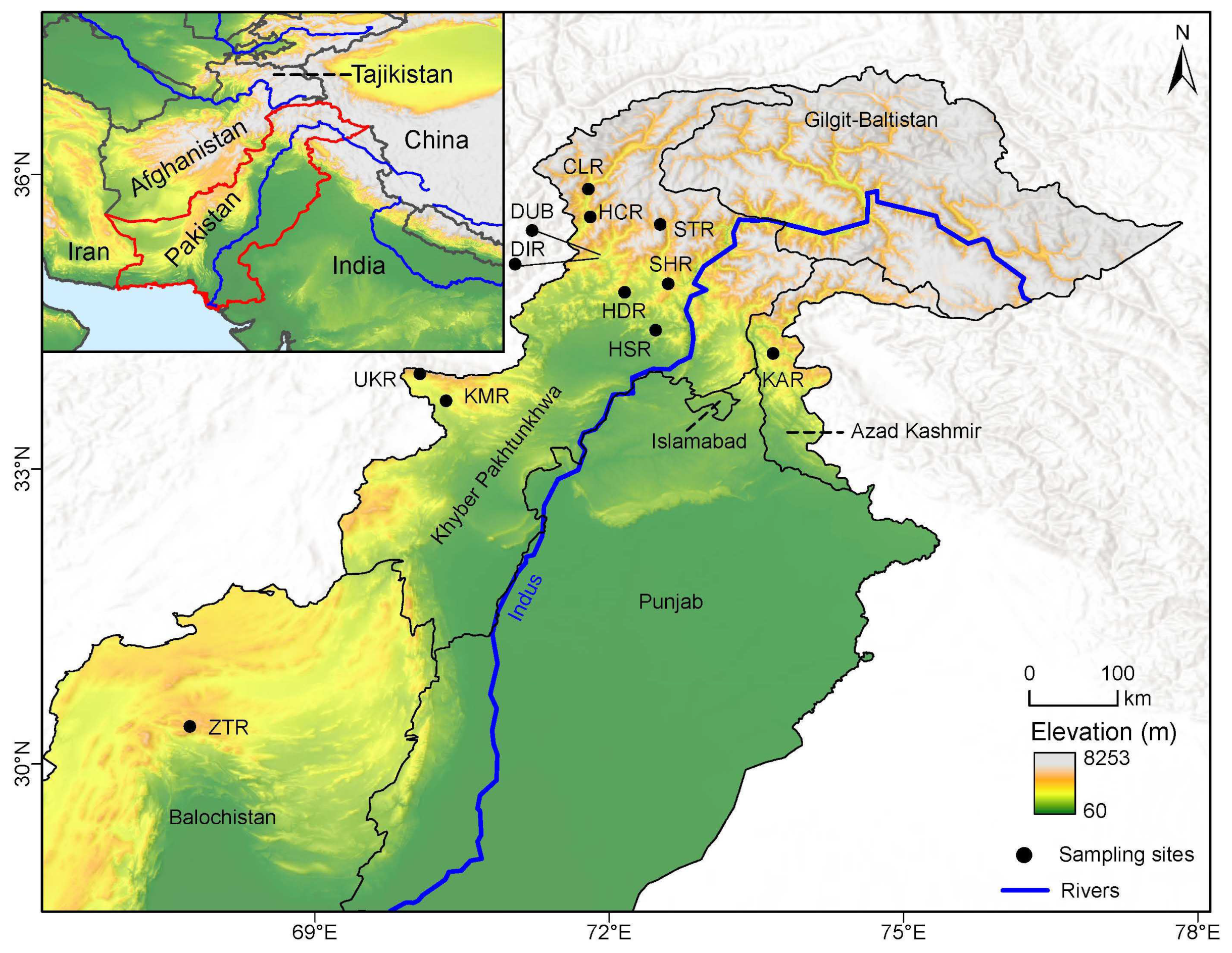 Plants 11 01652 g001