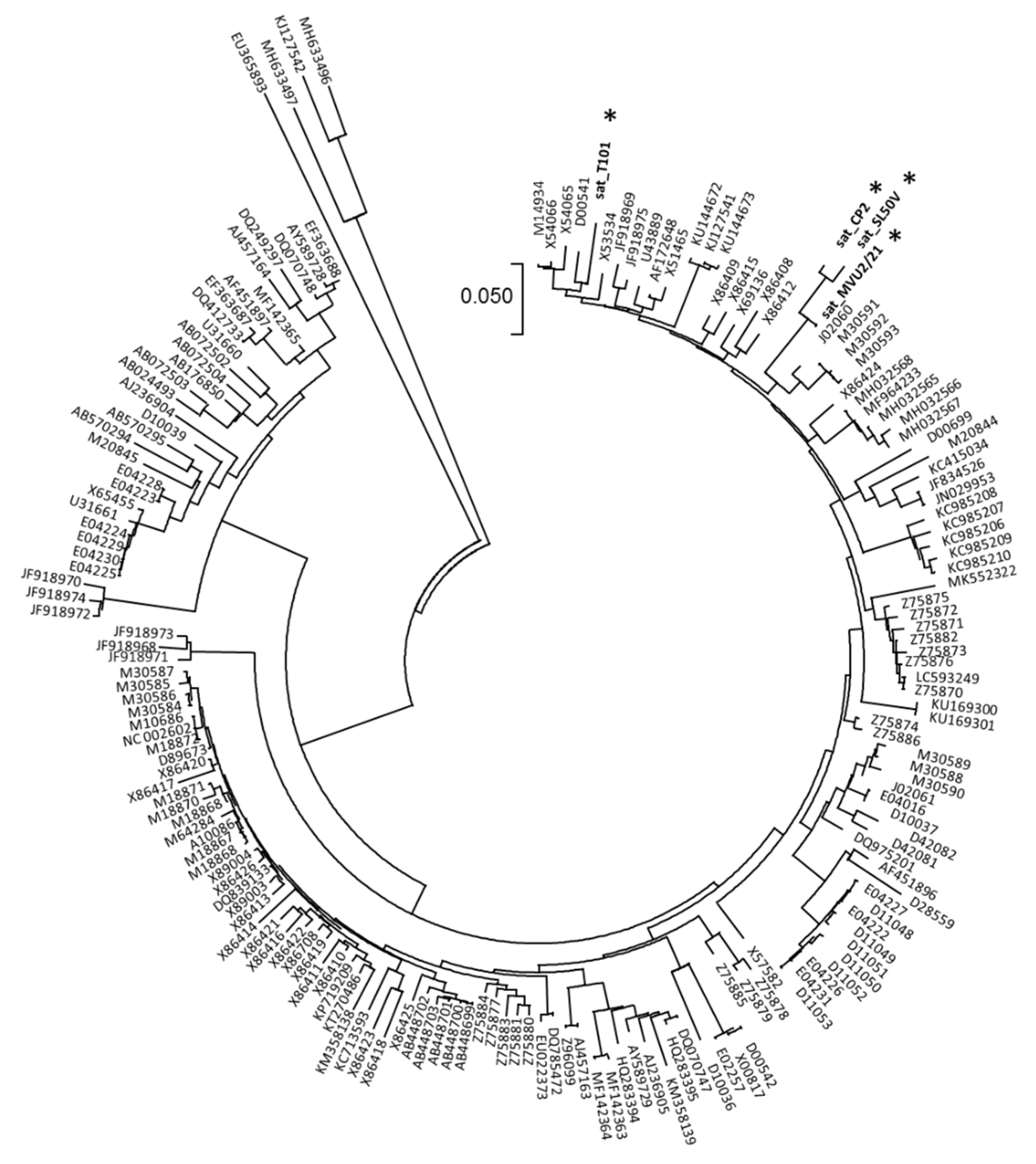 Plants 11 01665 g003 Plants 11 01665 g003