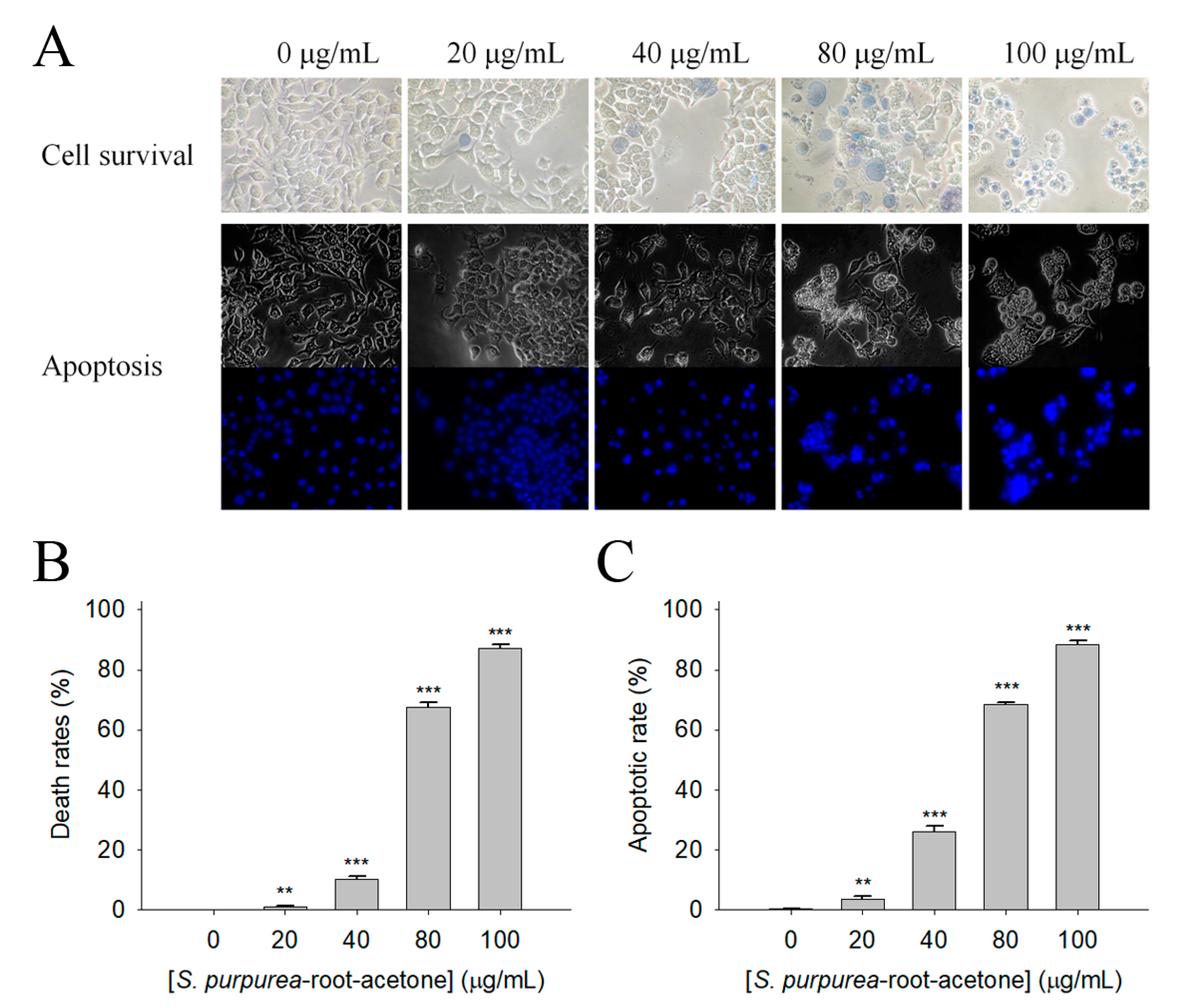Plants 11 01668 g005 Plants 11 01668 g005