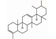 Plants 11 01668 i002 Plants 11 01668 i002