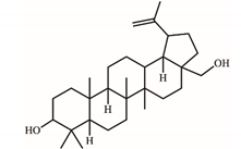 Plants 11 01668 i005 Plants 11 01668 i005