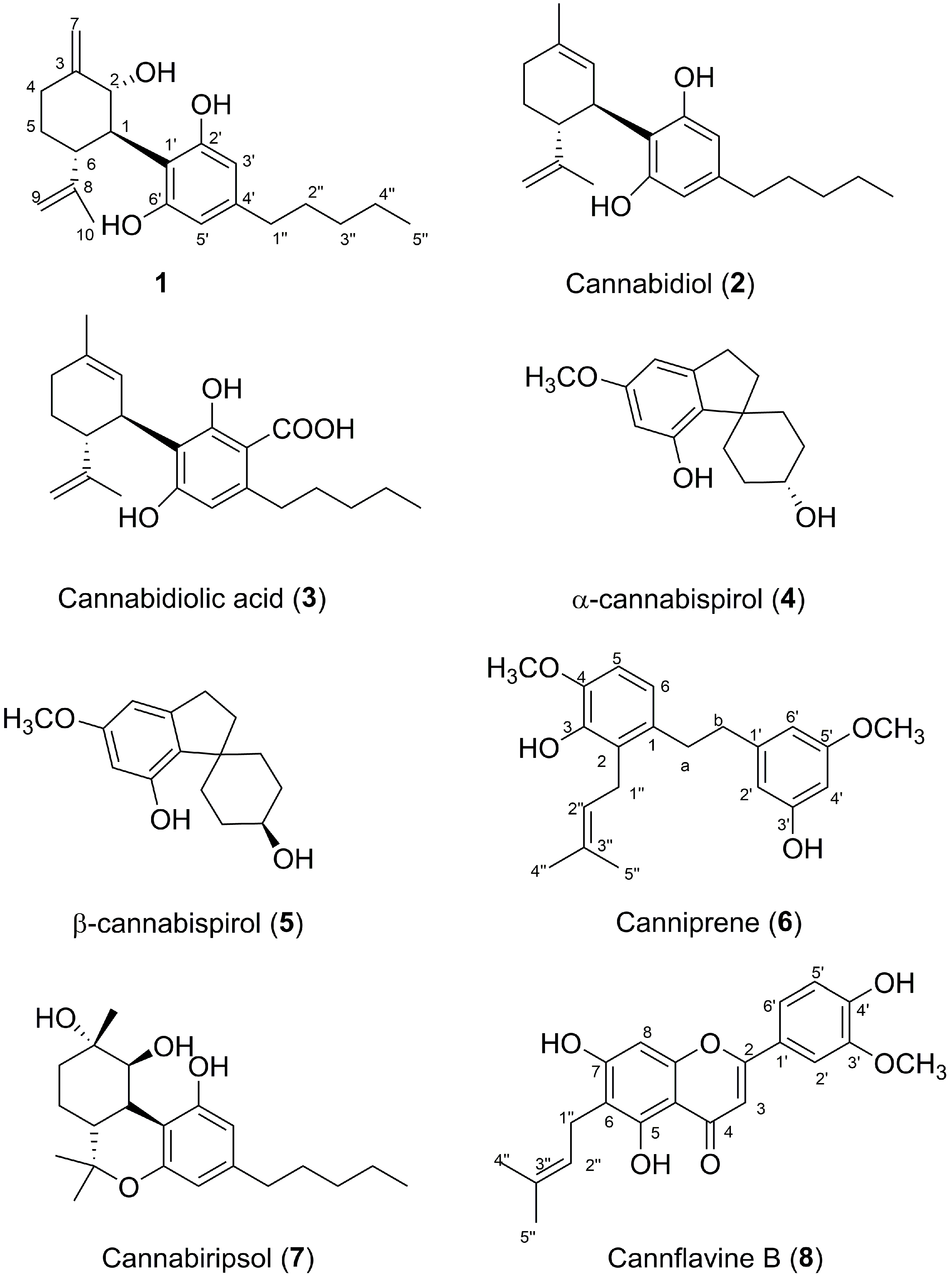 Plants 11 01671 g001