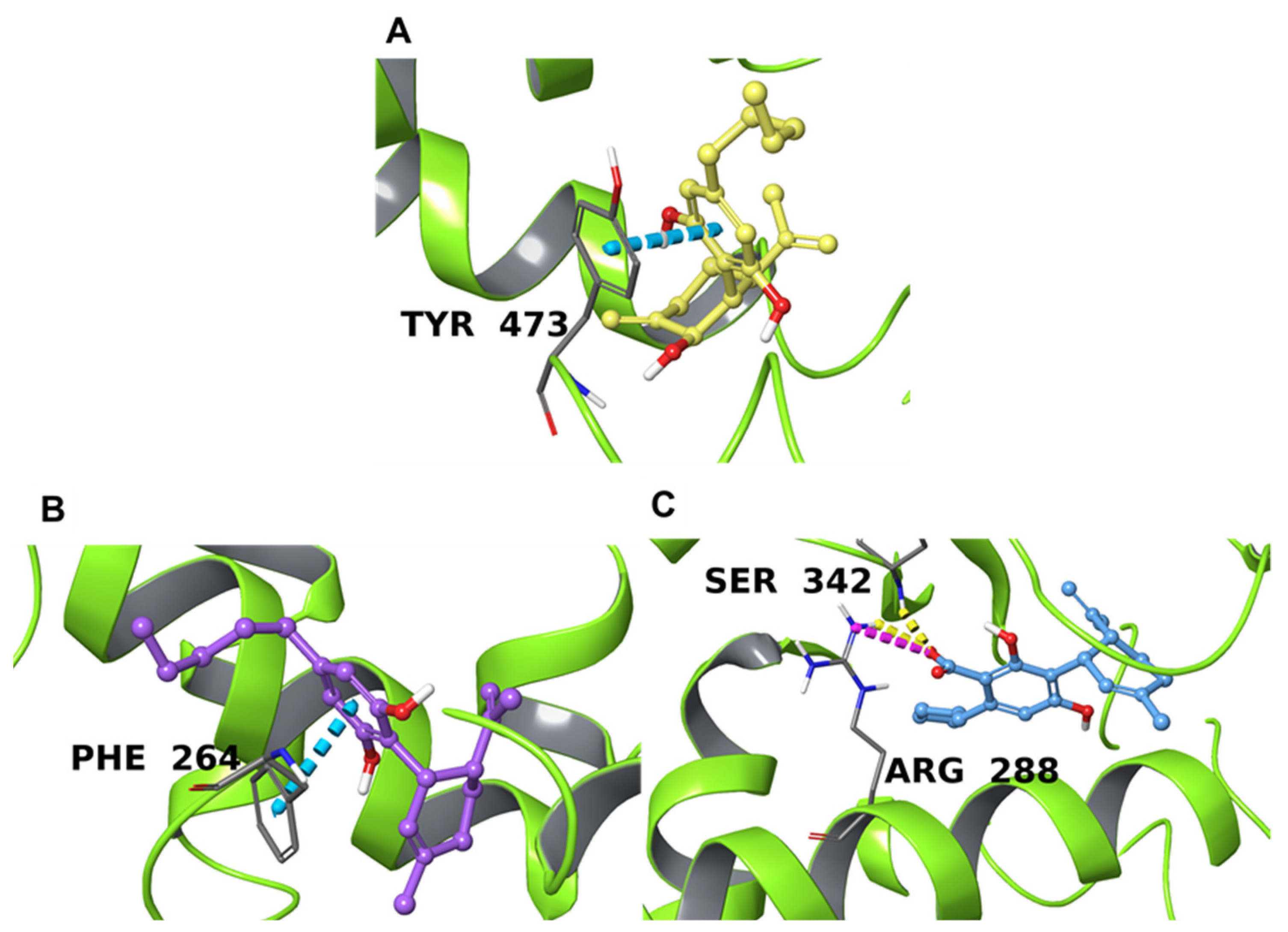 Plants 11 01671 g004