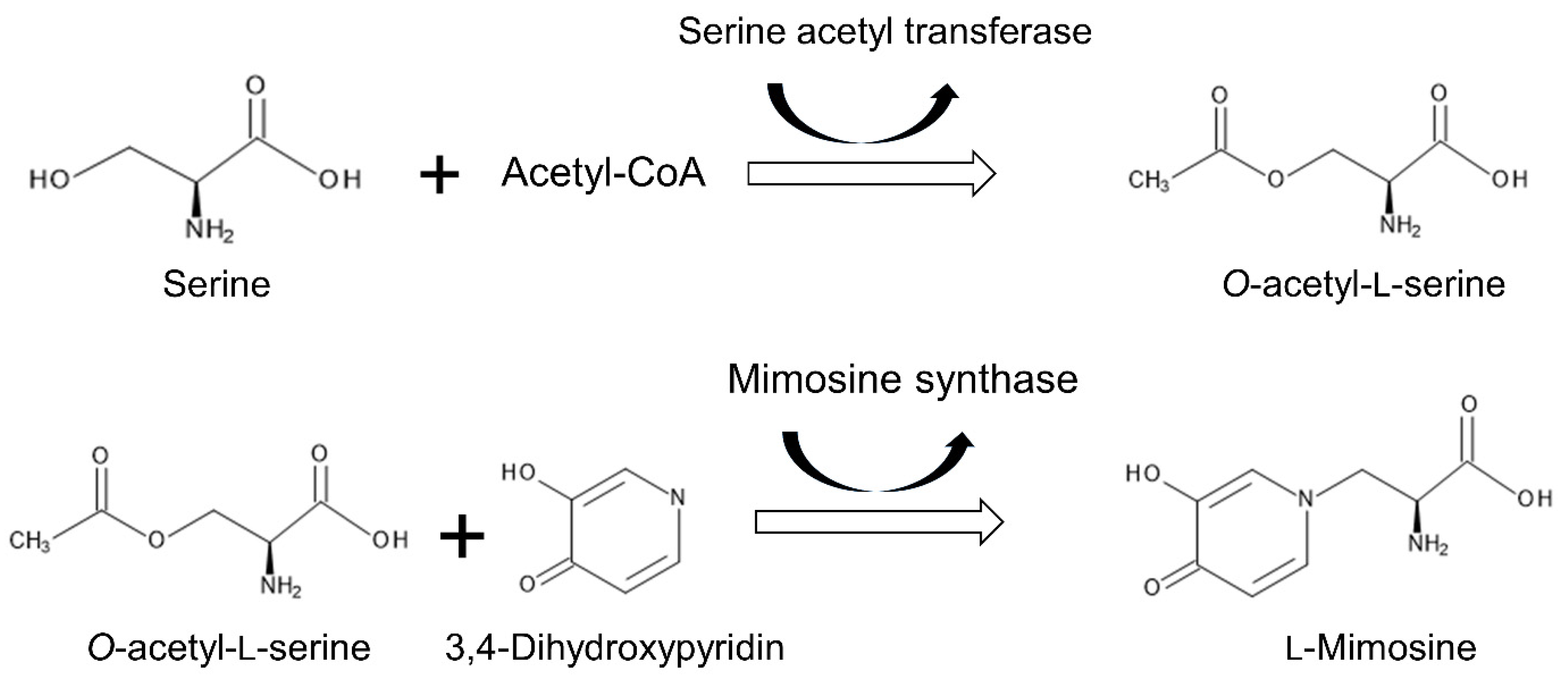 Plants 11 01672 g004 Plants 11 01672 g004