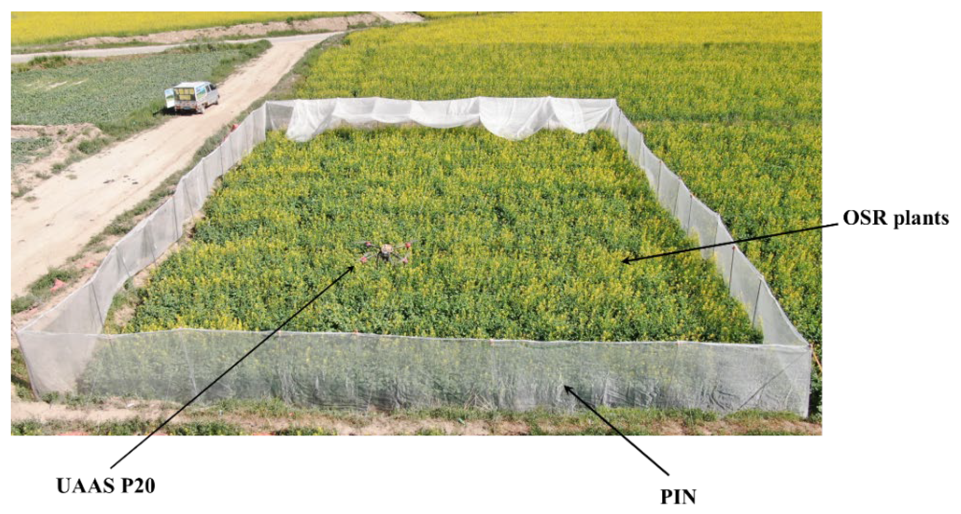 Plants 11 01677 g001 550