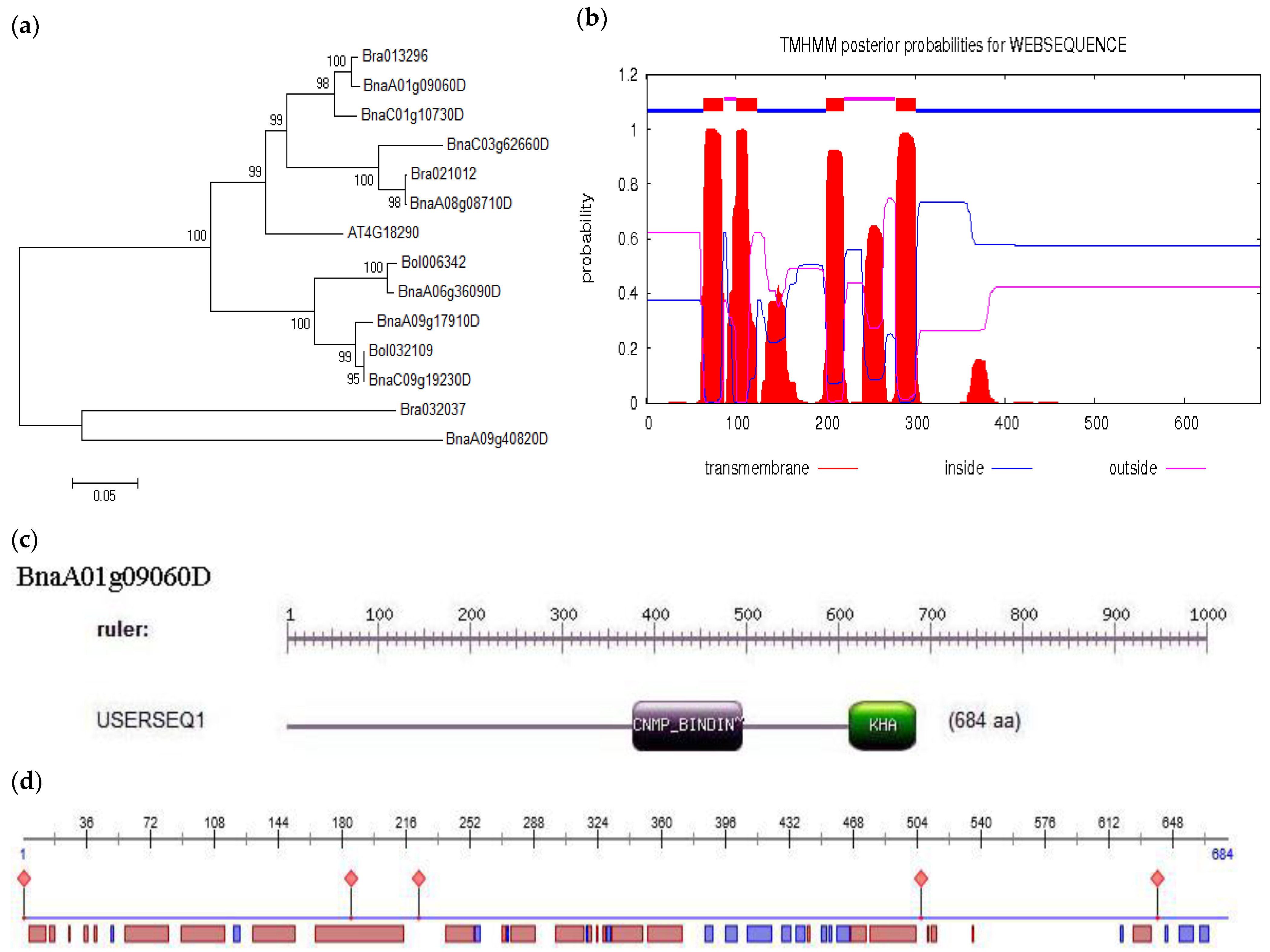 Plants 11 01679 g001