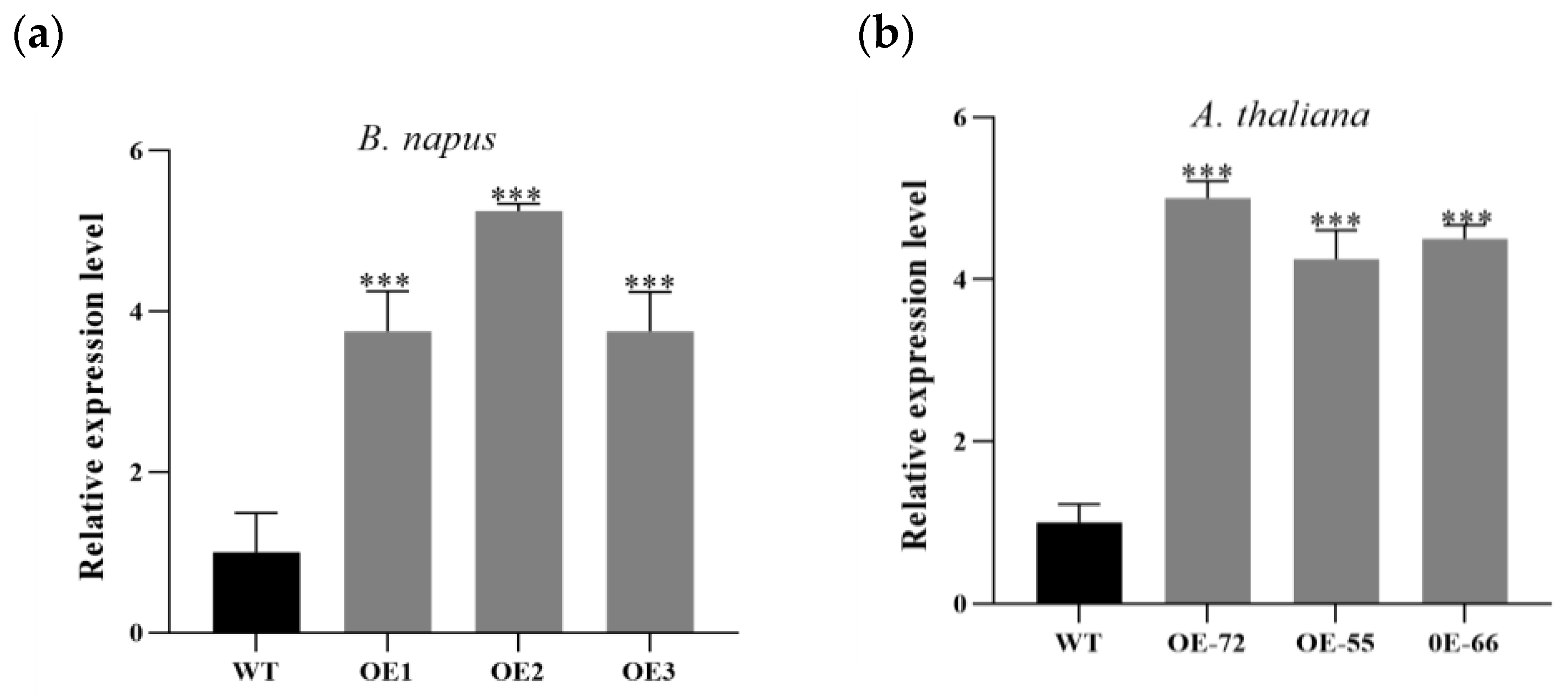 Plants 11 01679 g002