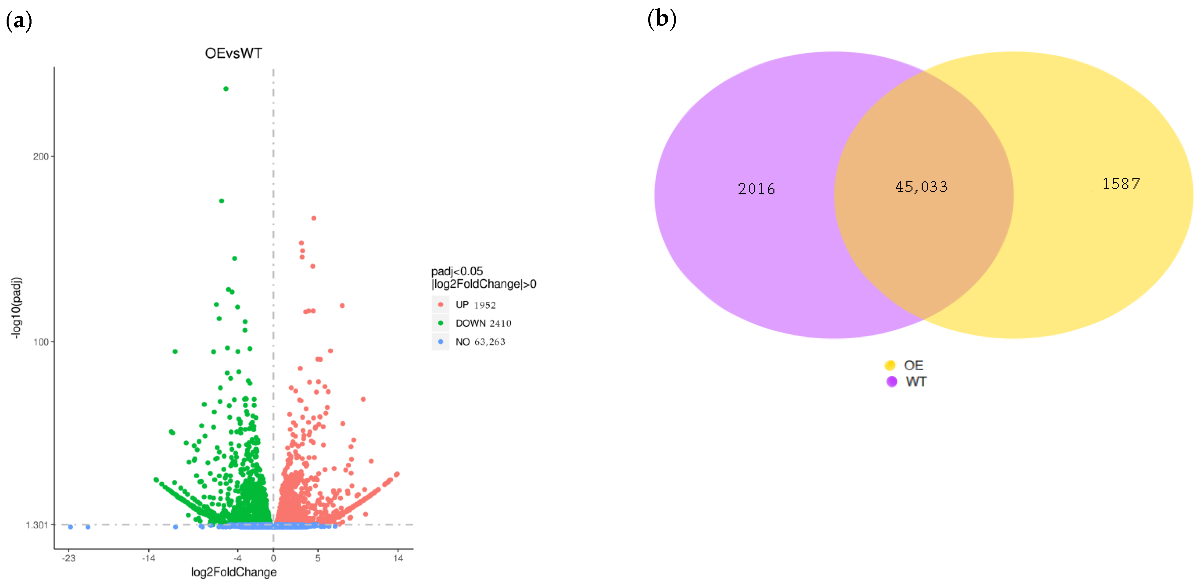 Plants 11 01679 g004
