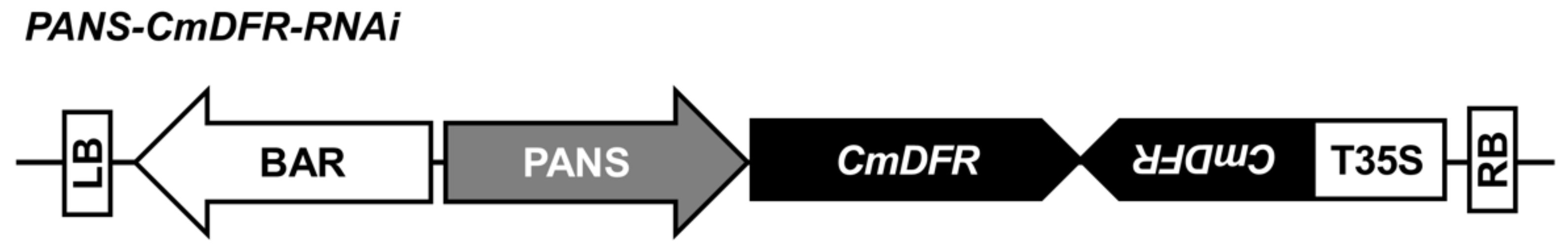 Plants 11 01681 g001