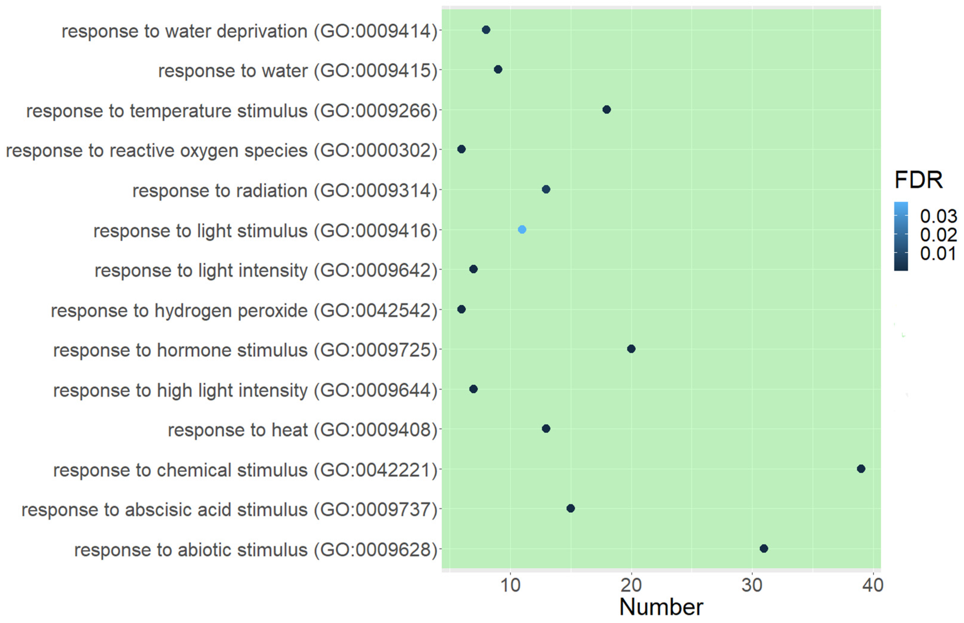 Plants 11 01686 g005 Plants 11 01686 g005