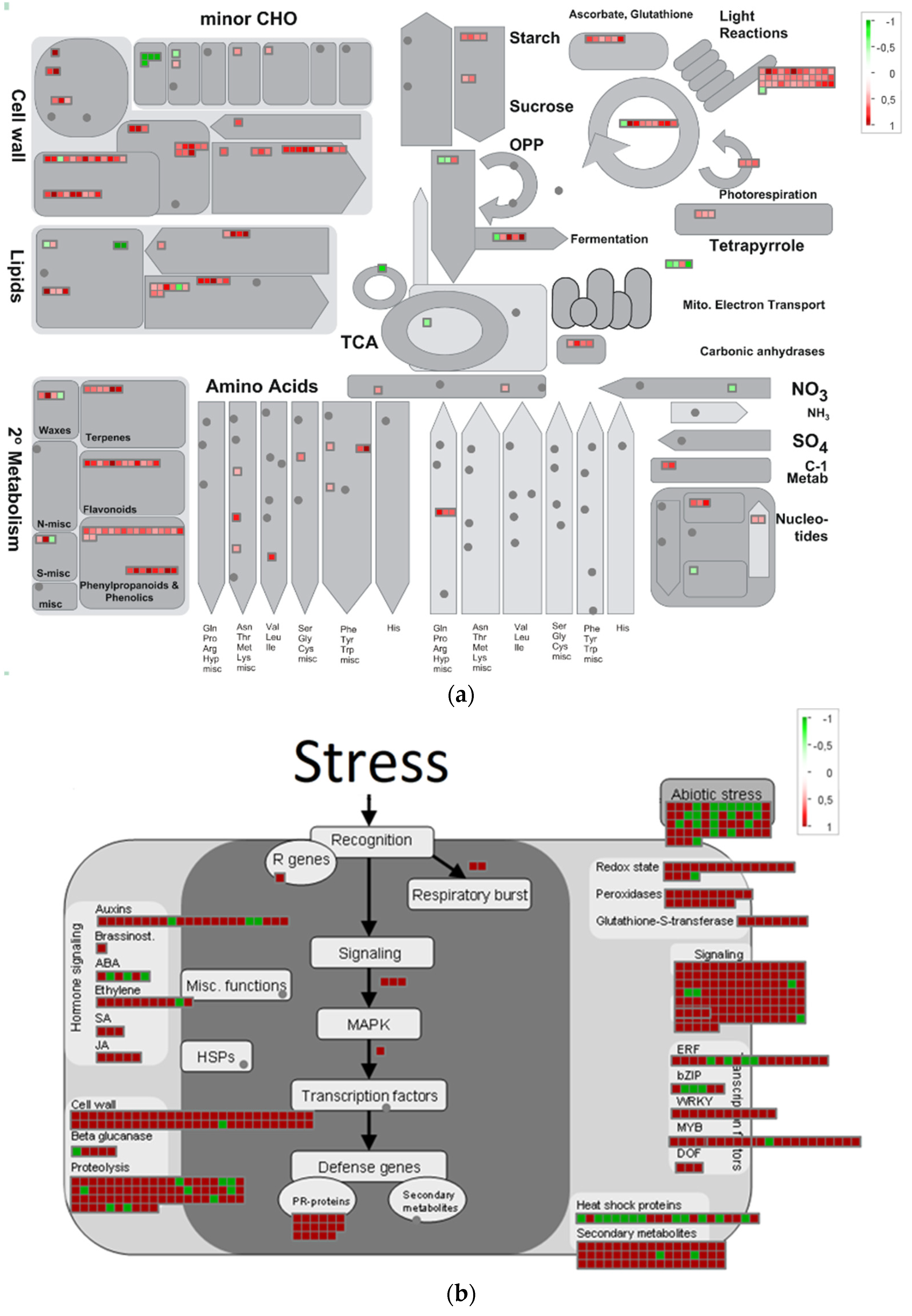 Plants 11 01686 g006 Plants 11 01686 g006