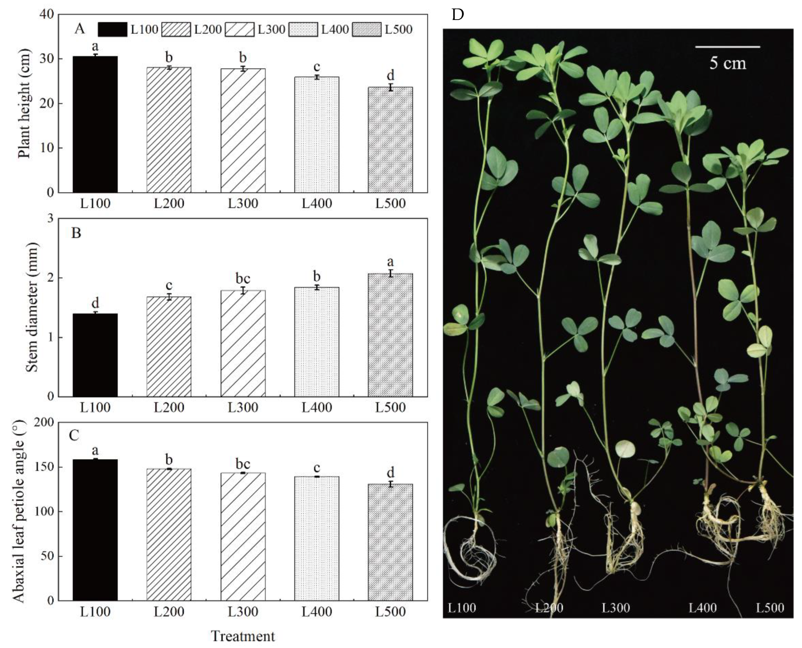 UV-to-red light converting films accelerate plant growth, could help  improve global food supply issues