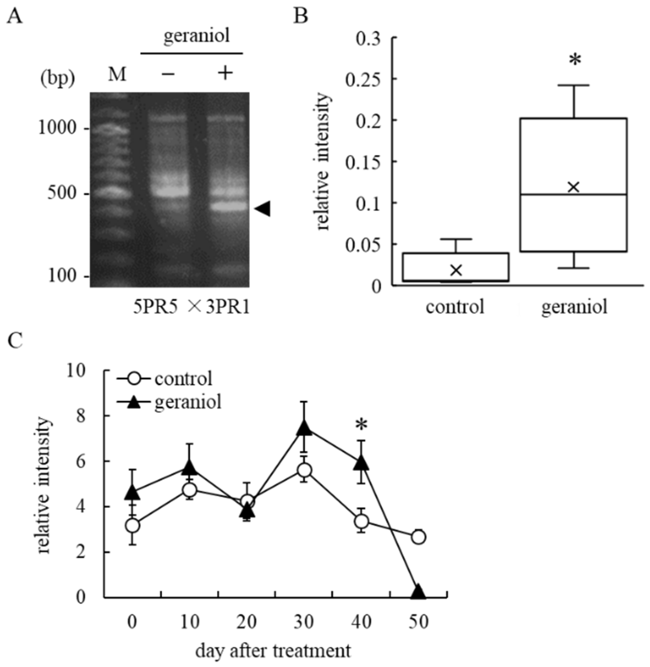 Plants 11 01694 g005 550