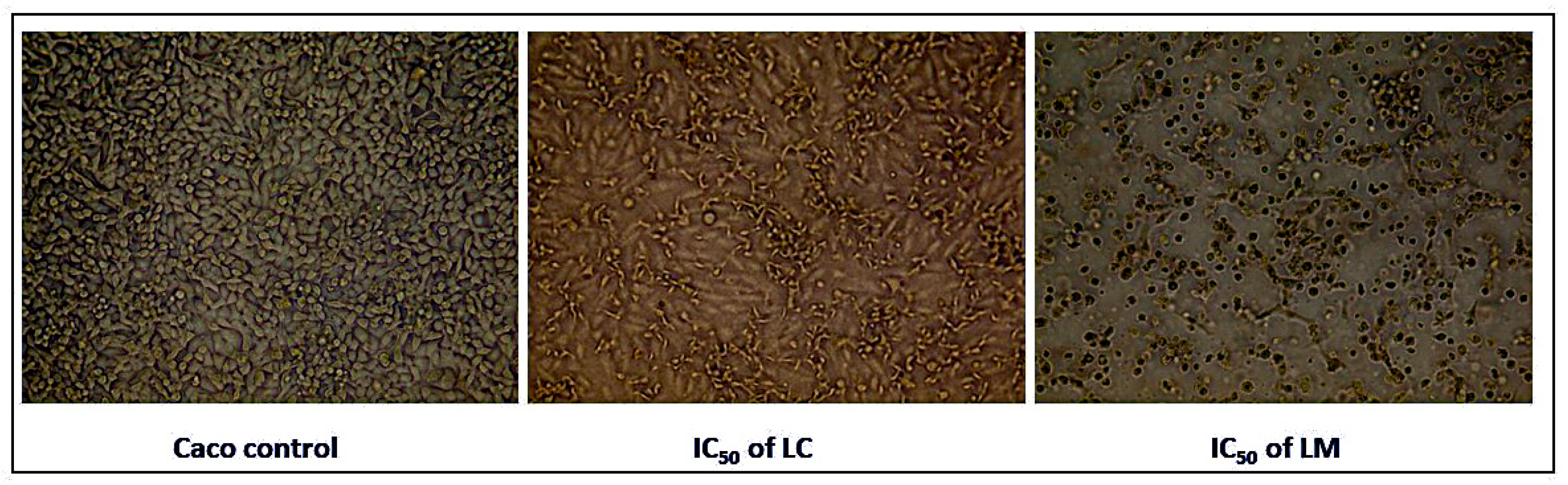 Plants 11 01699 g005 Plants 11 01699 g005