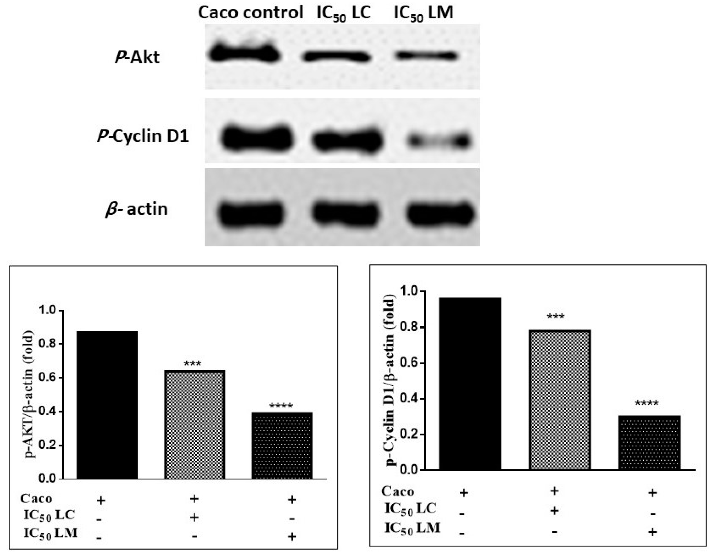 Plants 11 01699 g008 Plants 11 01699 g008