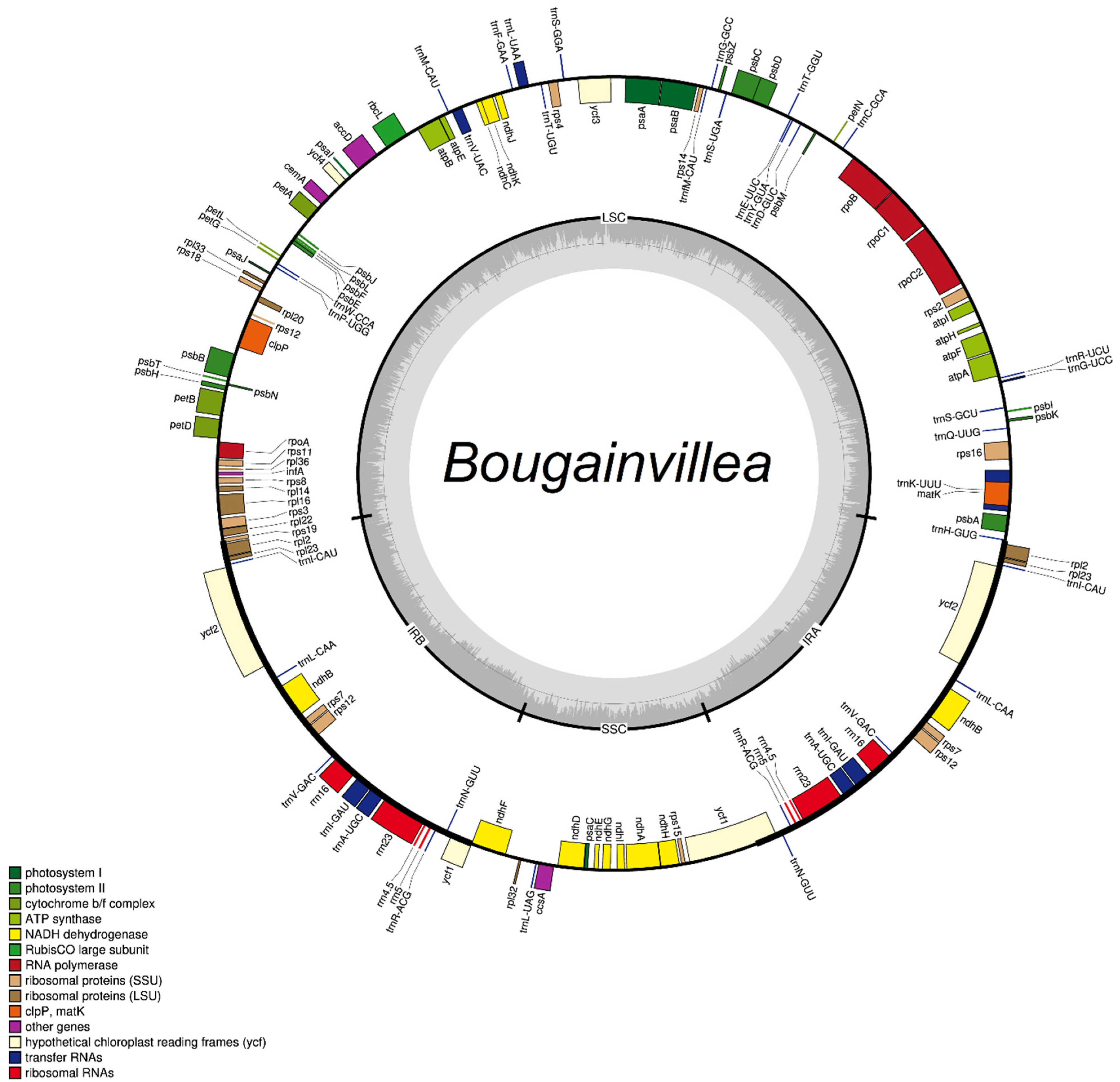 Plants 11 01700 g001 Plants 11 01700 g001